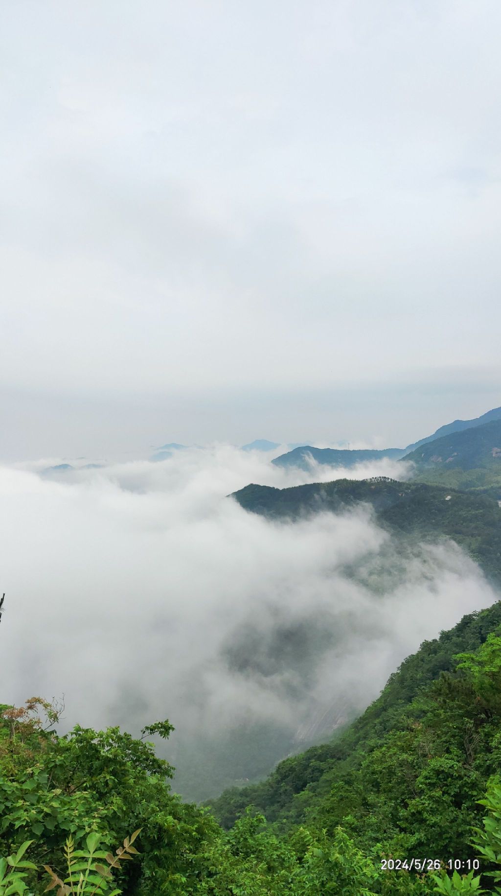 黄柏山国家森林公园旅行图片 1