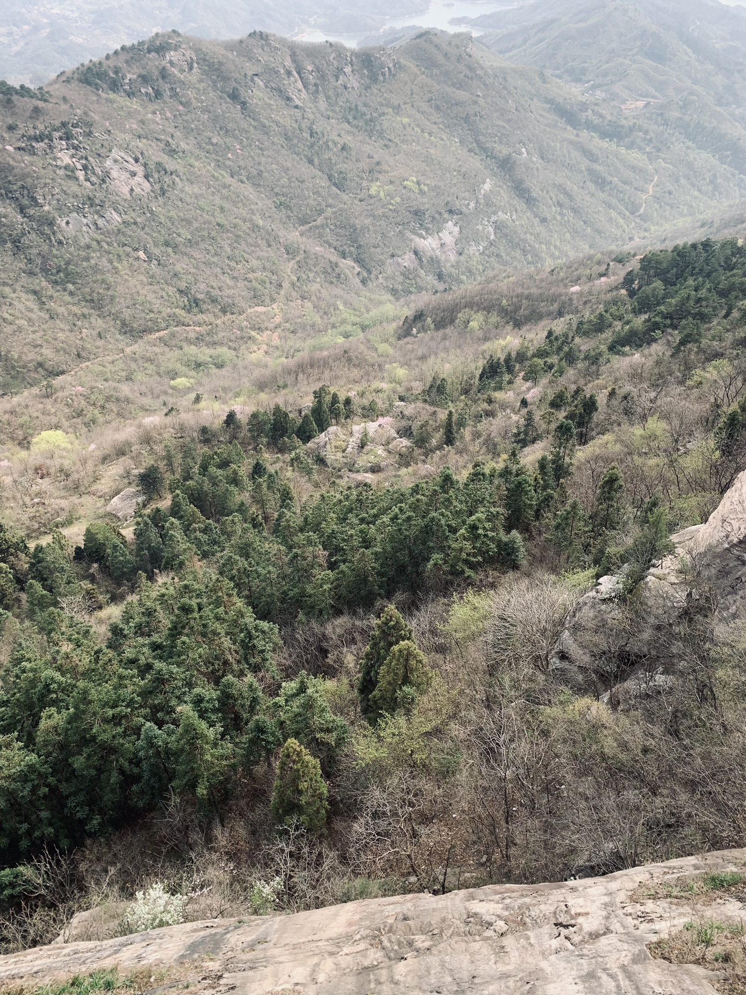 黄柏山国家森林公园旅行图片 3