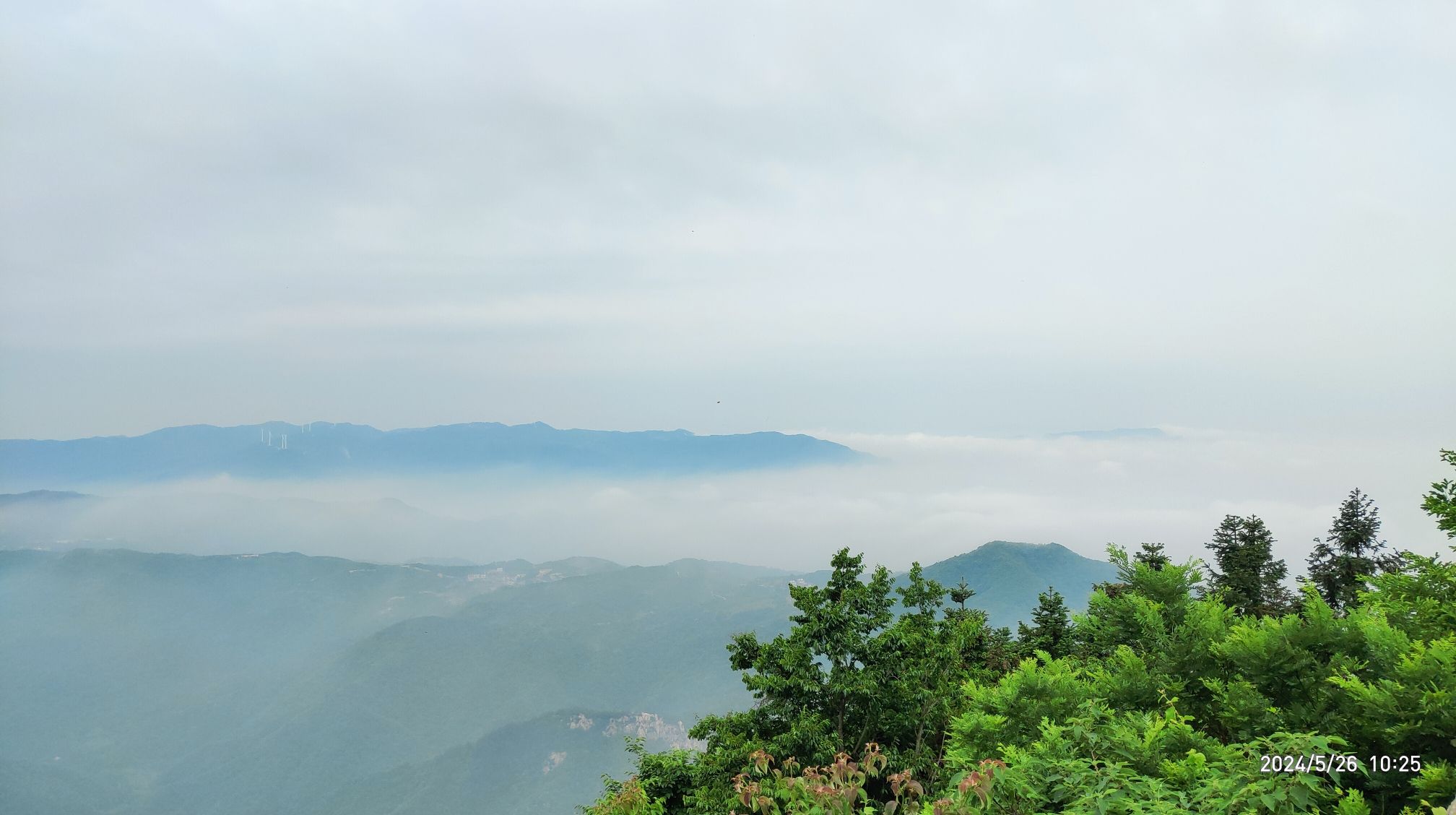 黄柏山国家森林公园旅行图片 2