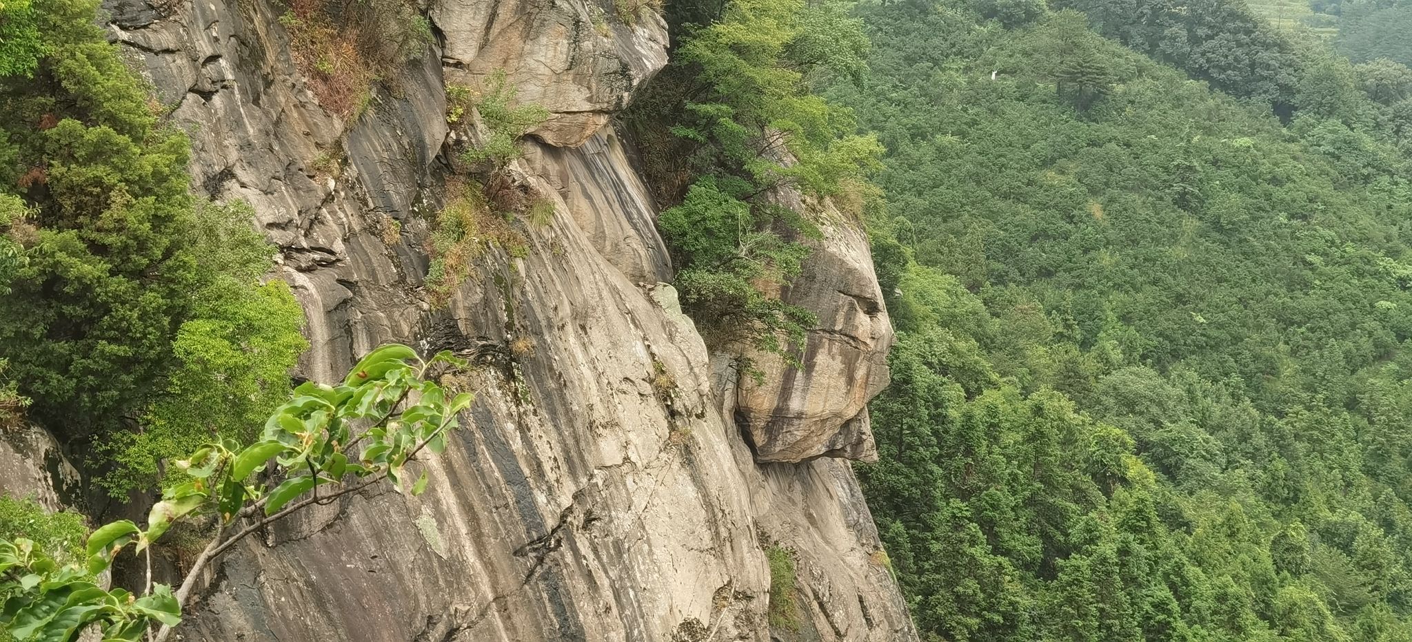 黄柏山国家森林公园旅行图片 1