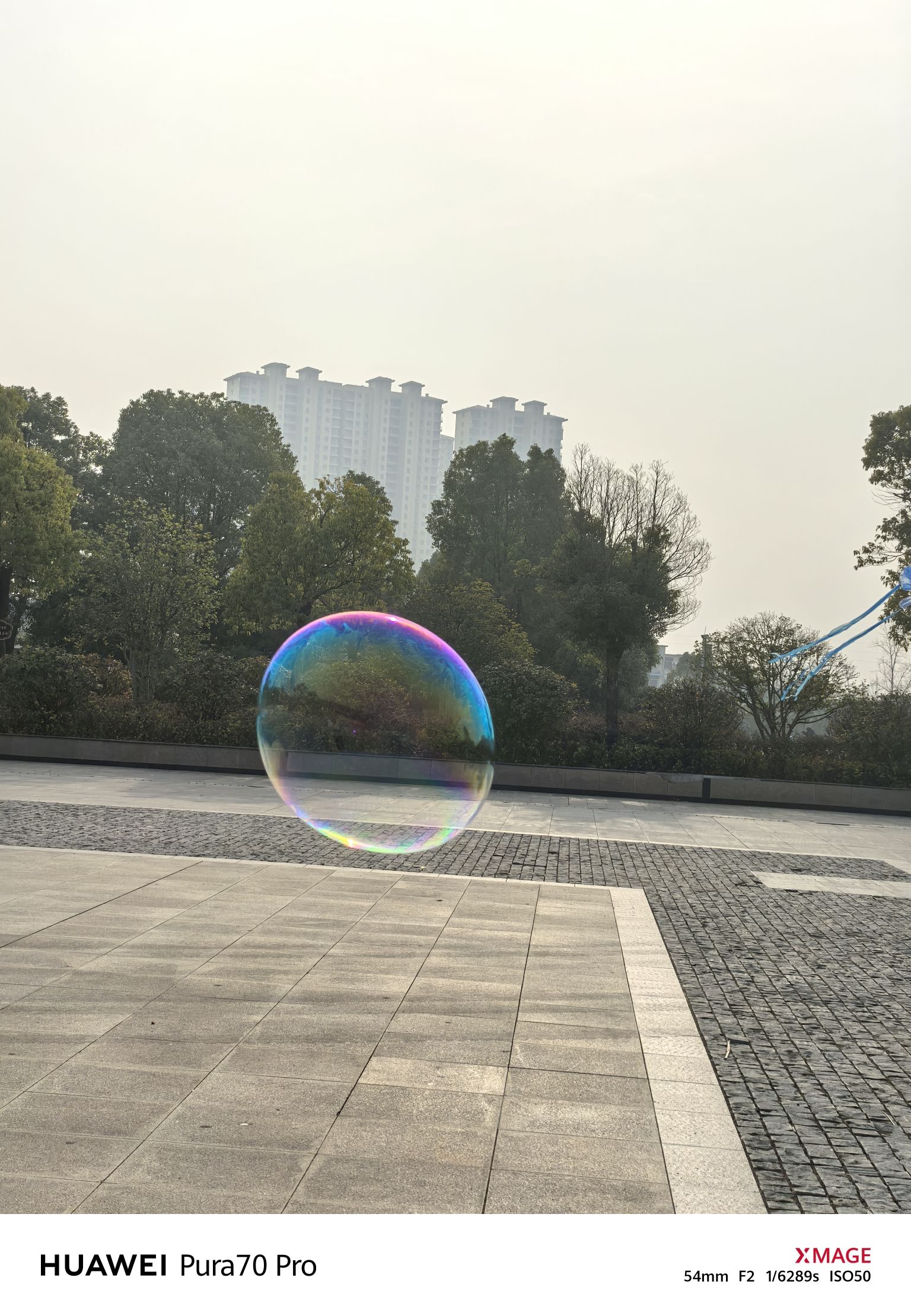 息州杉海景区旅行图片 2