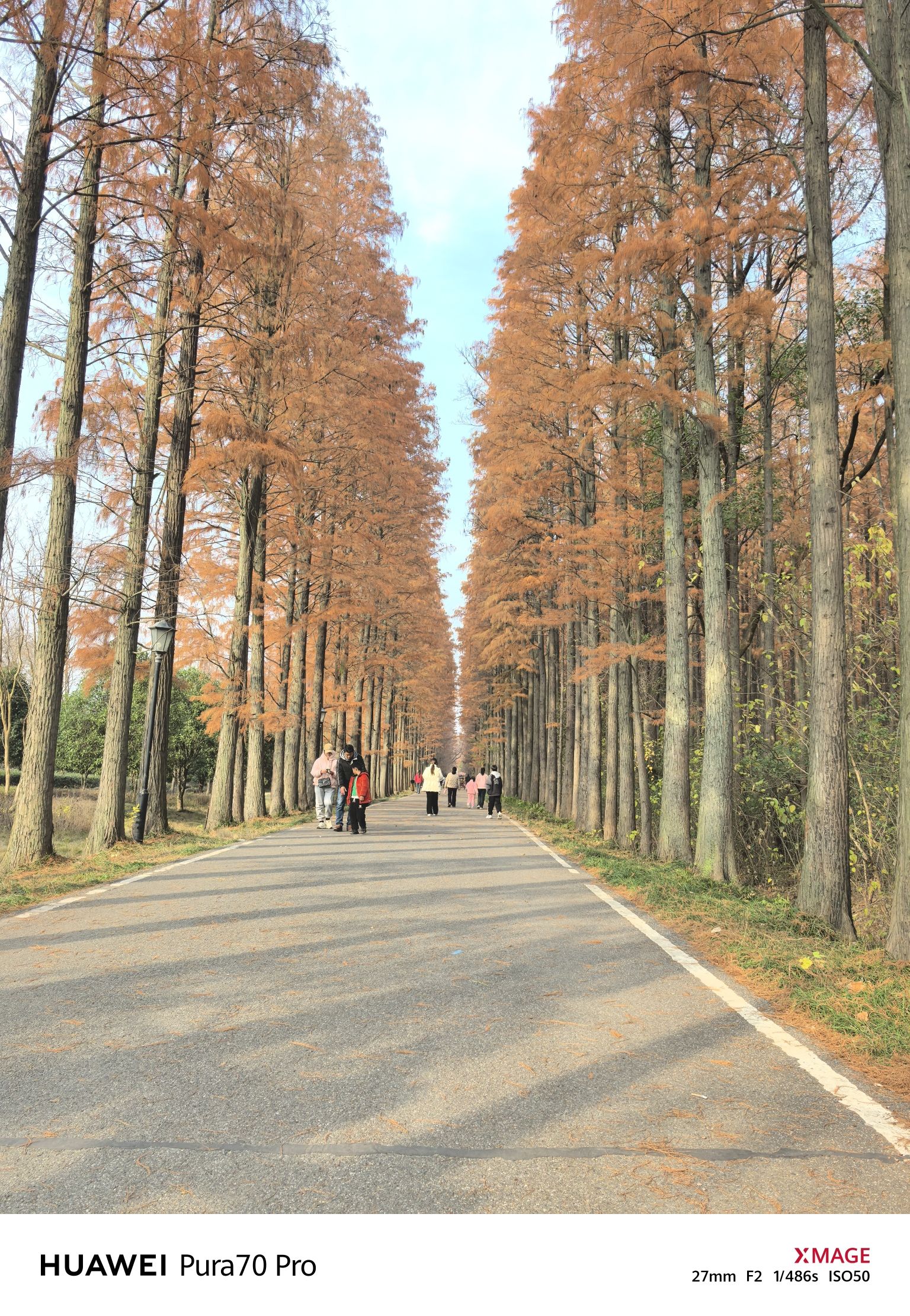 息州杉海景区旅行图片 1