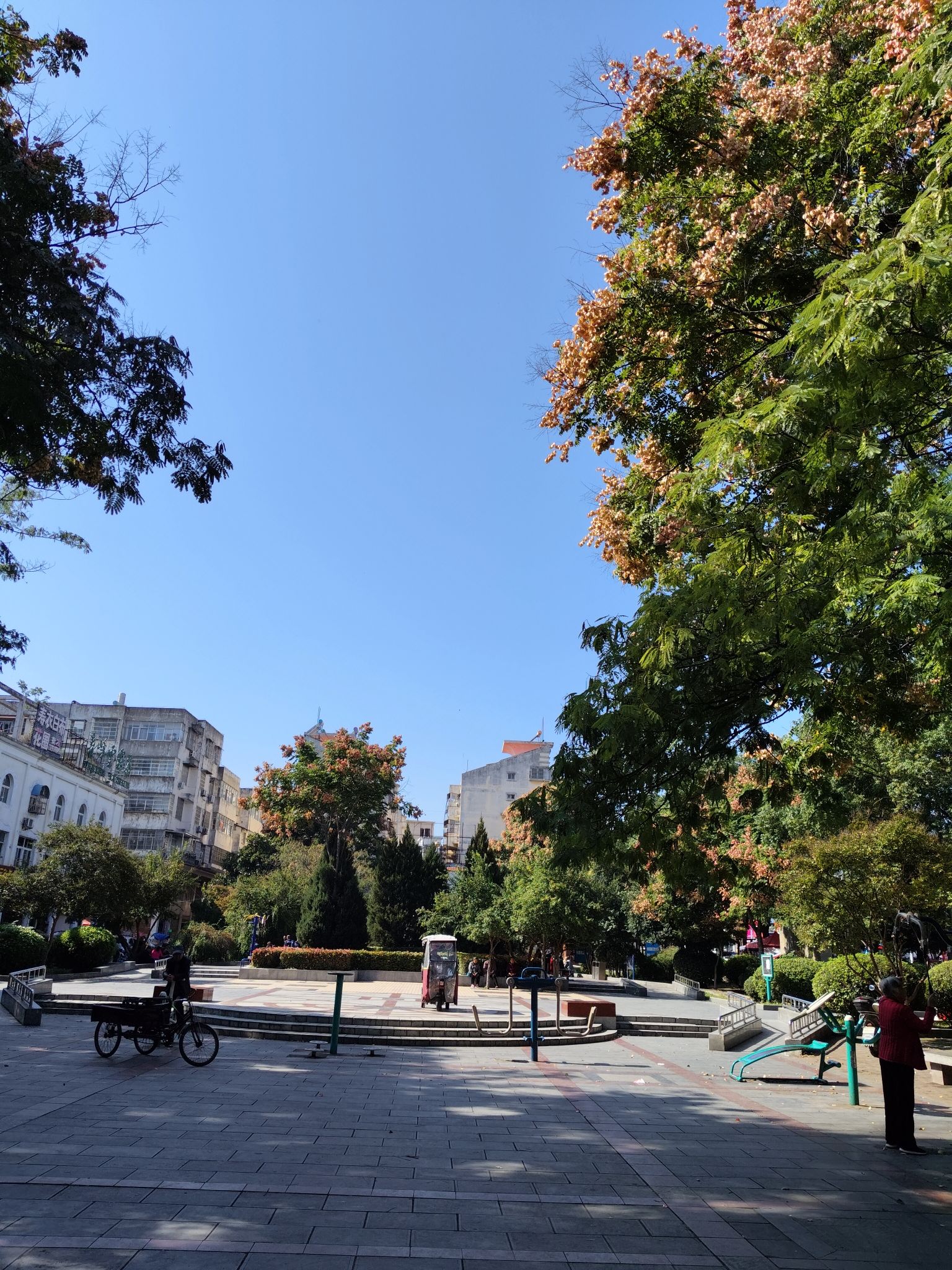 迎宾公园旅行图片 2