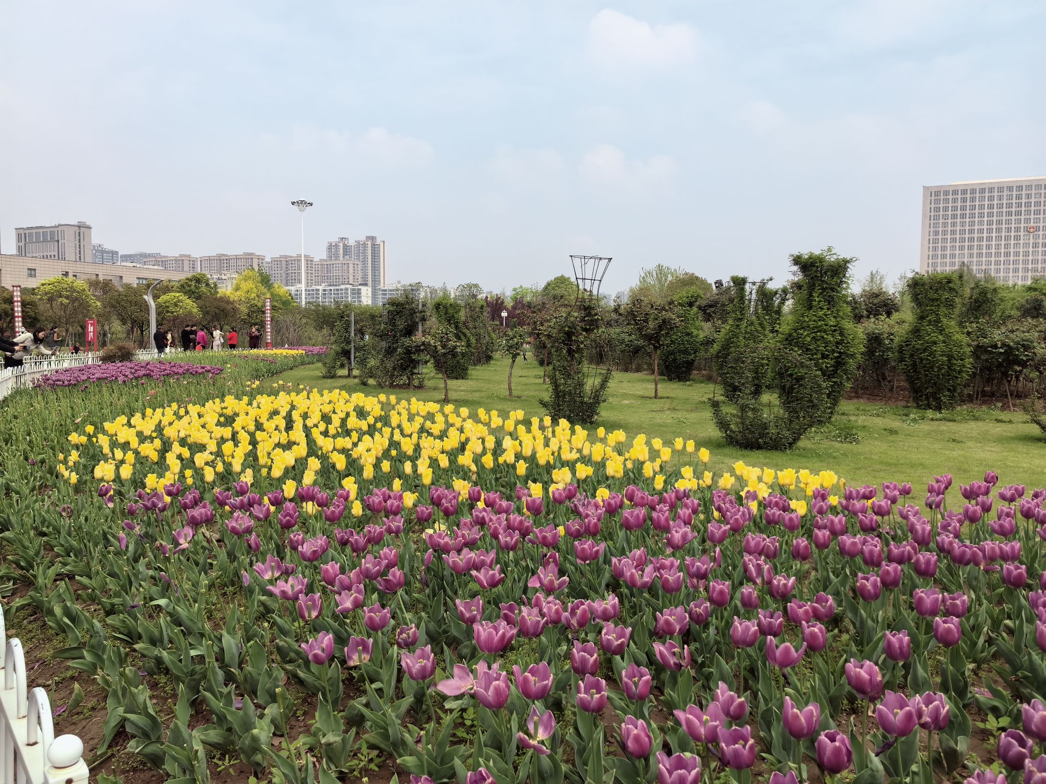 百花园旅行图片 3