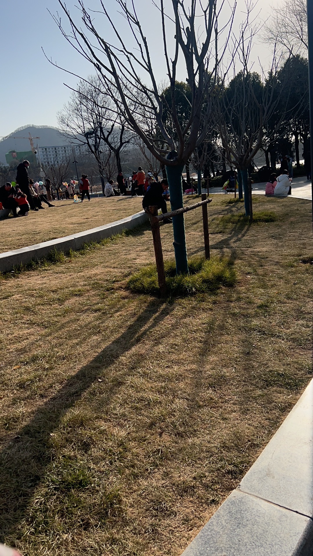 奥林匹克公园旅行图片 3