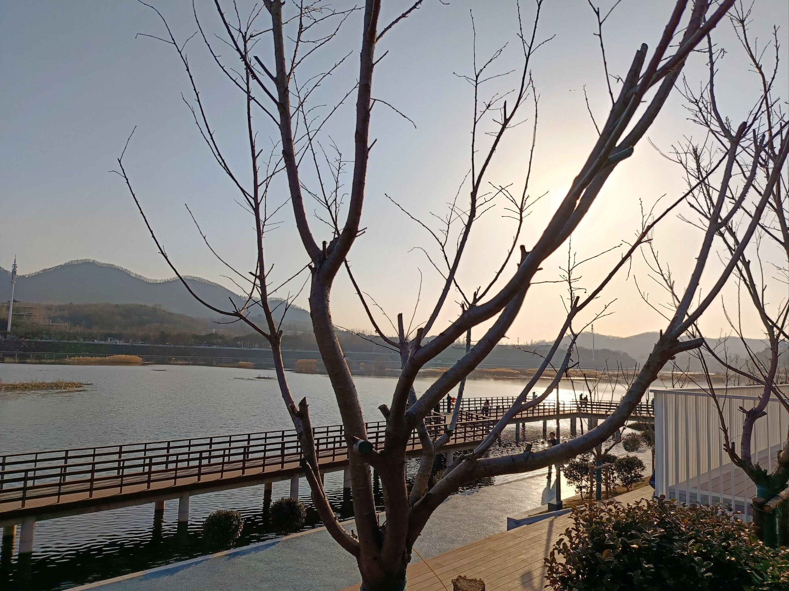奥林匹克公园旅行图片 1
