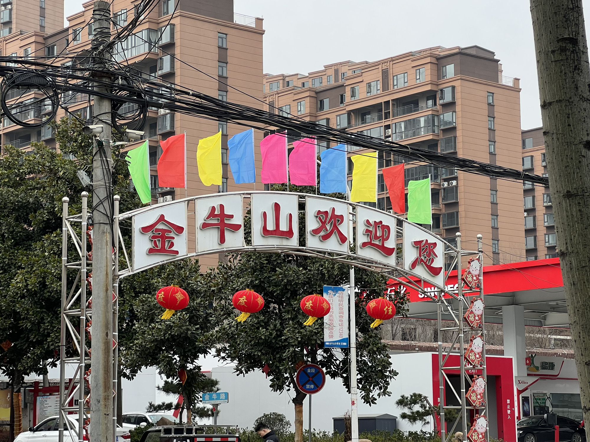 金牛文化公园旅行图片 2