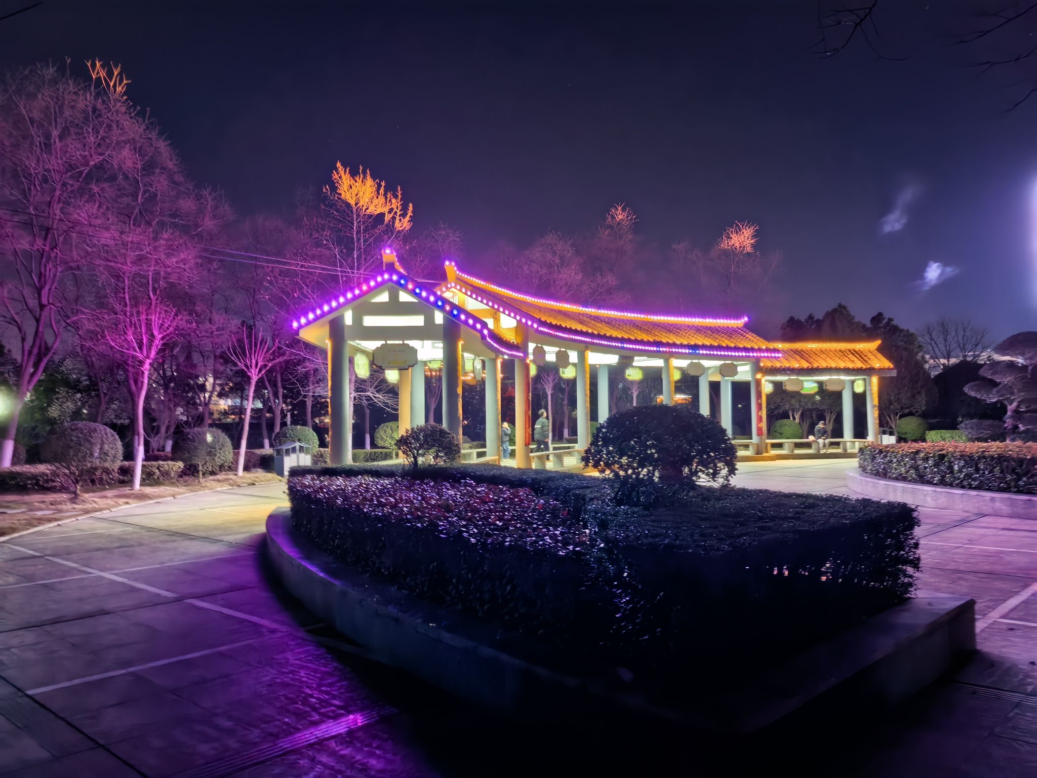 崇福公园旅行图片 1