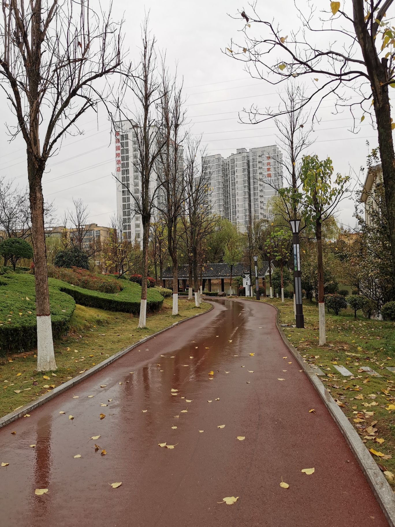 崇福公园旅行图片 2