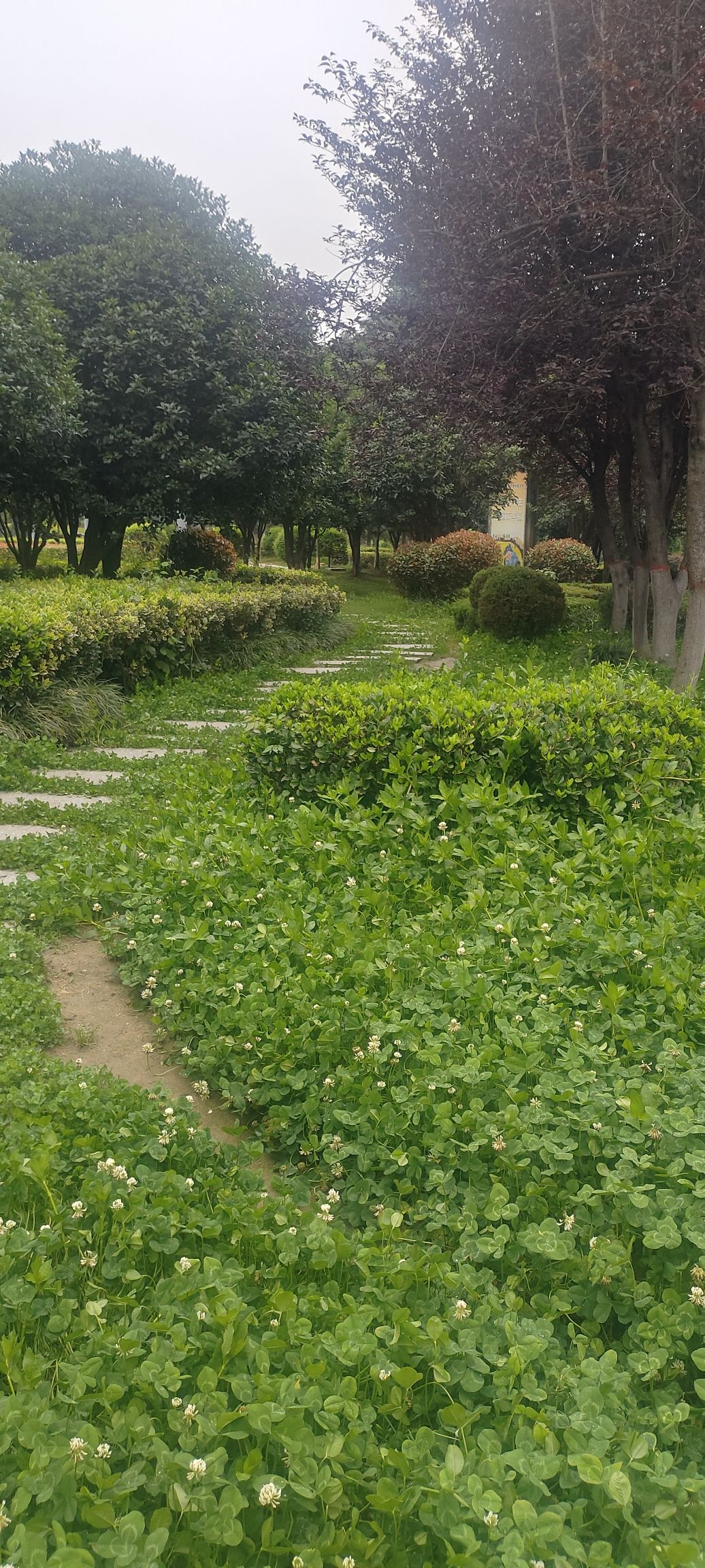 崇福公园旅行图片 3