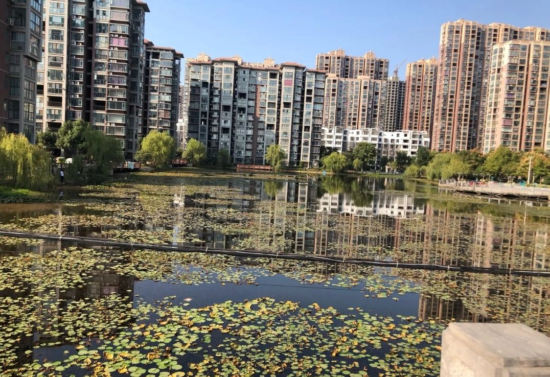 信合·湖畔春天3期