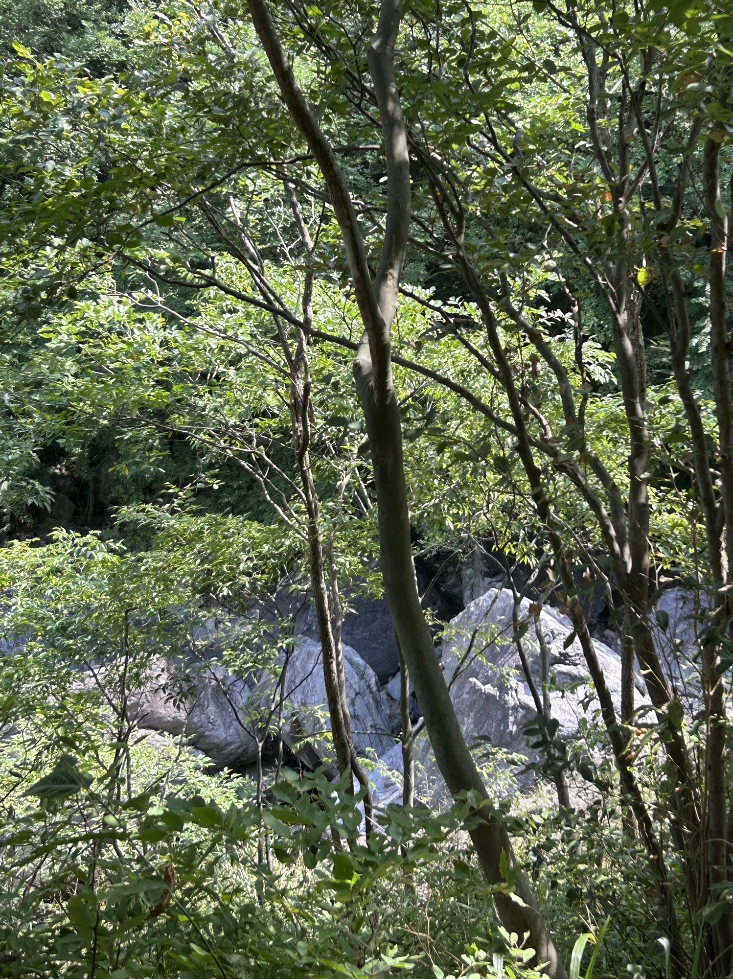 金刚台猫儿峰旅游区旅行图片 3