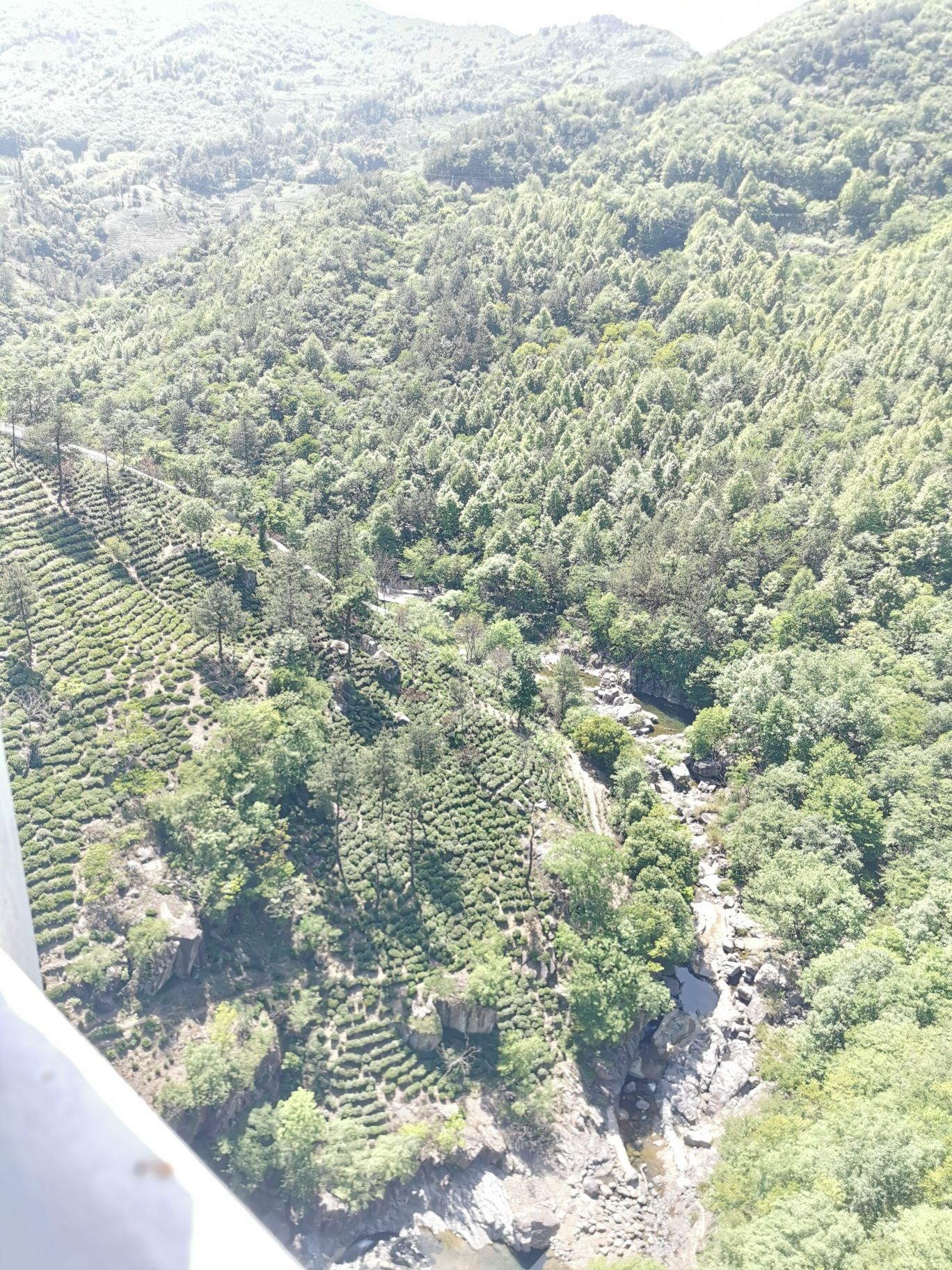 金刚台猫儿峰旅游区旅行图片 1
