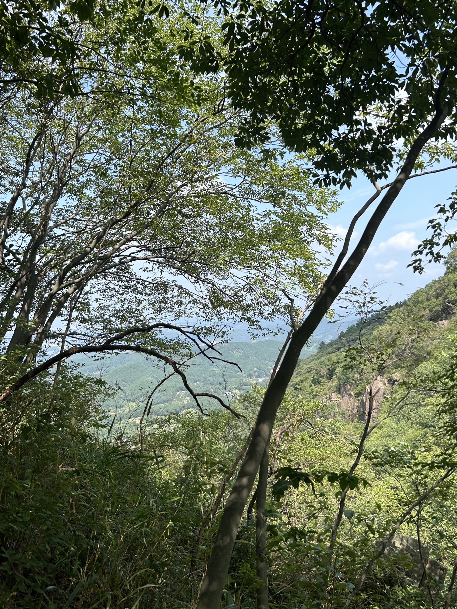 金刚台猫儿峰旅游区旅行图片 2