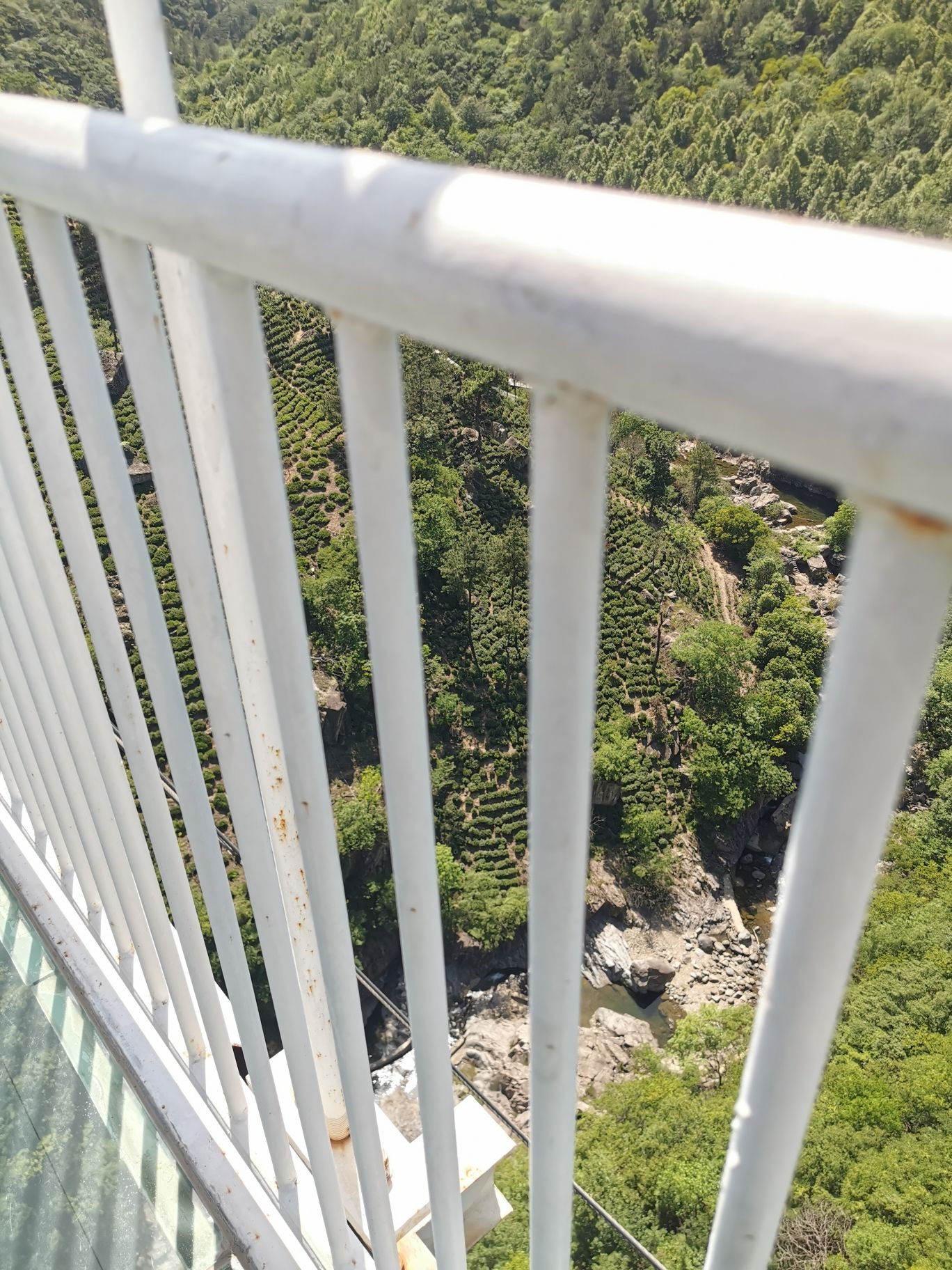 金刚台猫儿峰旅游区旅行图片 3