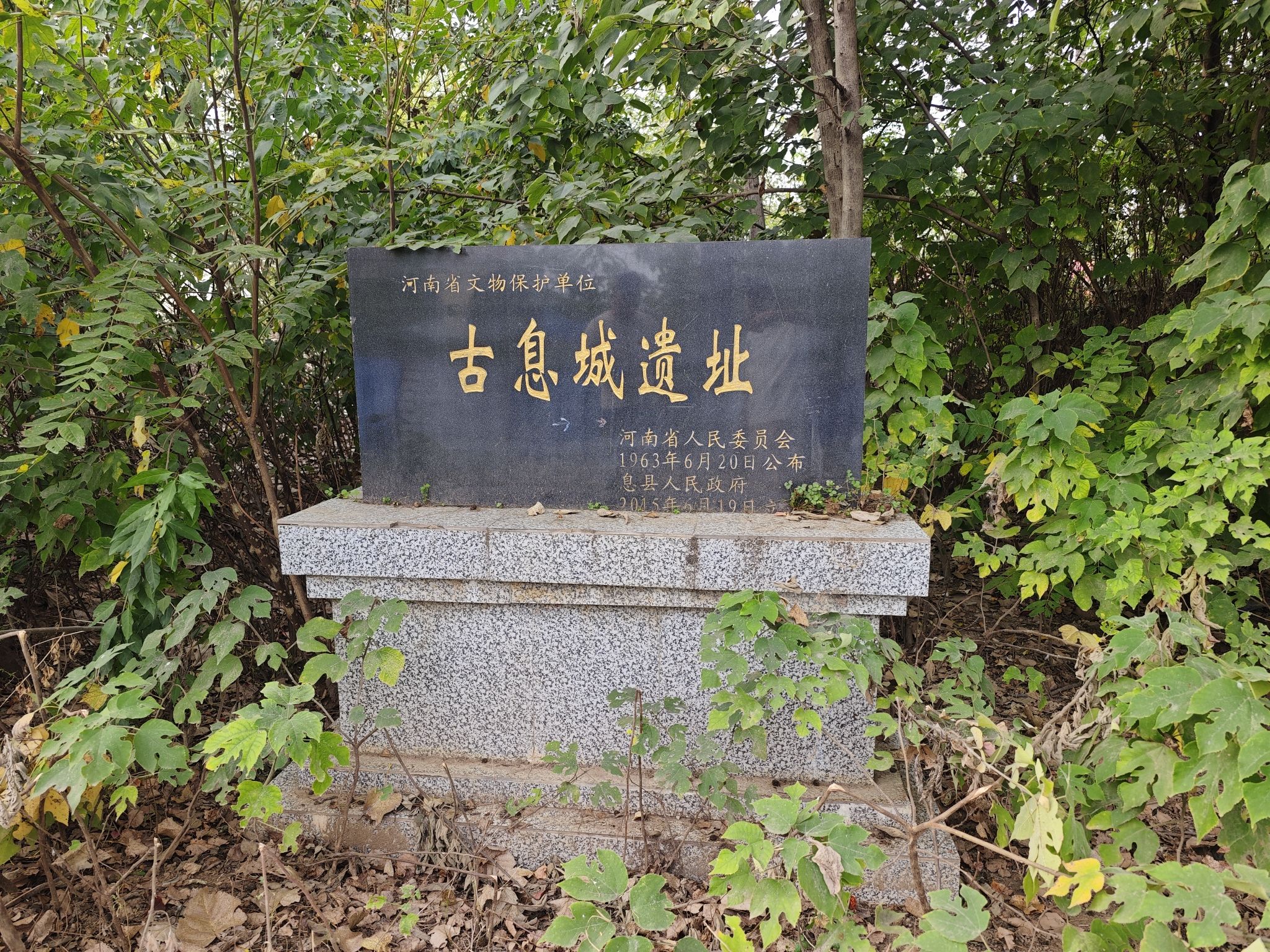 青龙寺息国故城遗址旅行图片 2