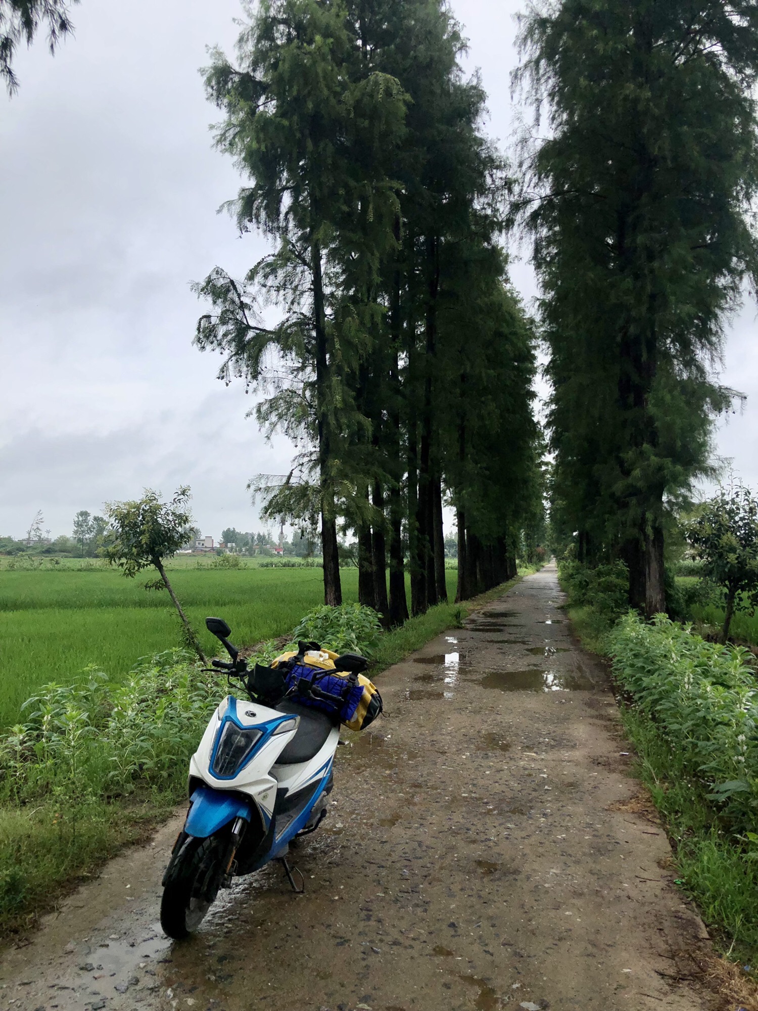 太子庙古遗址旅行图片 1
