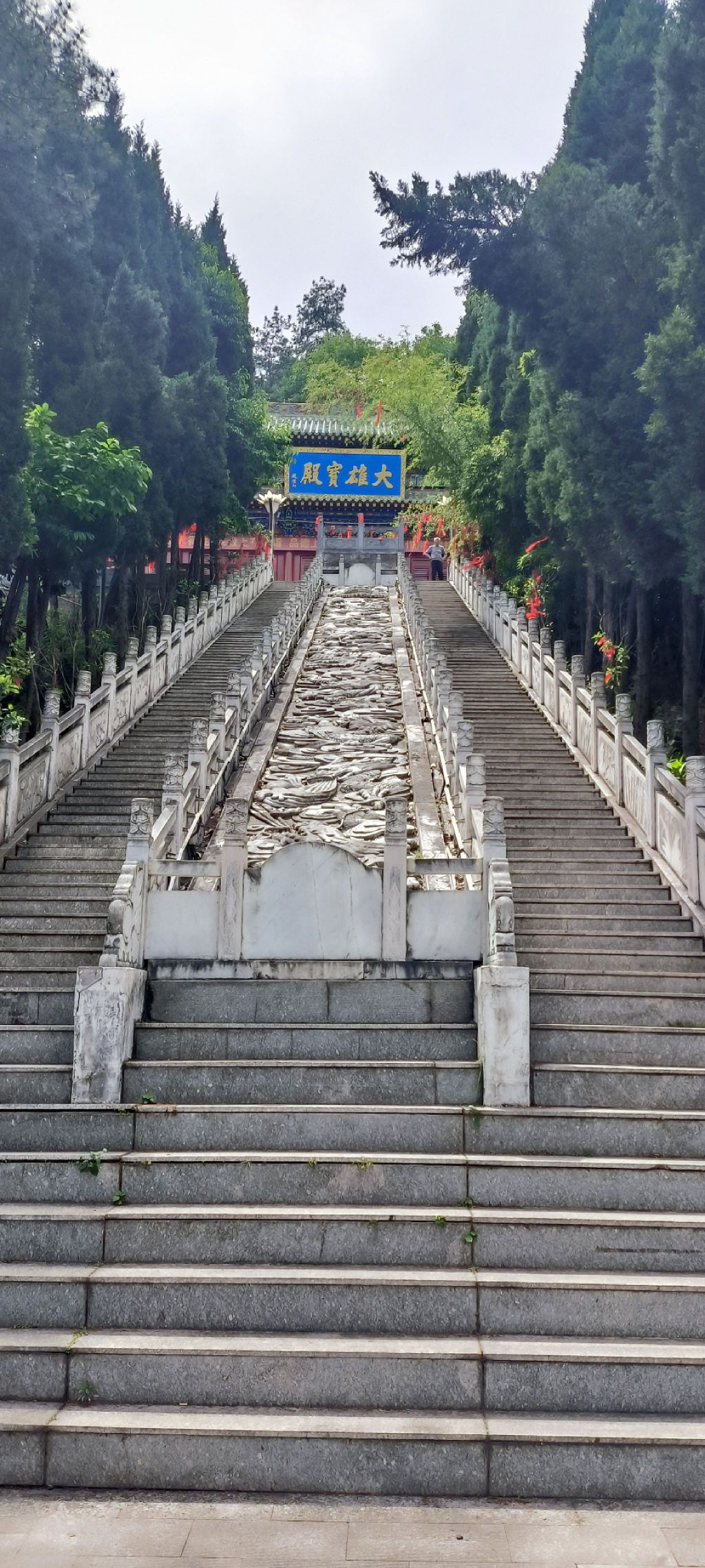 寺山公园旅行图片 2
