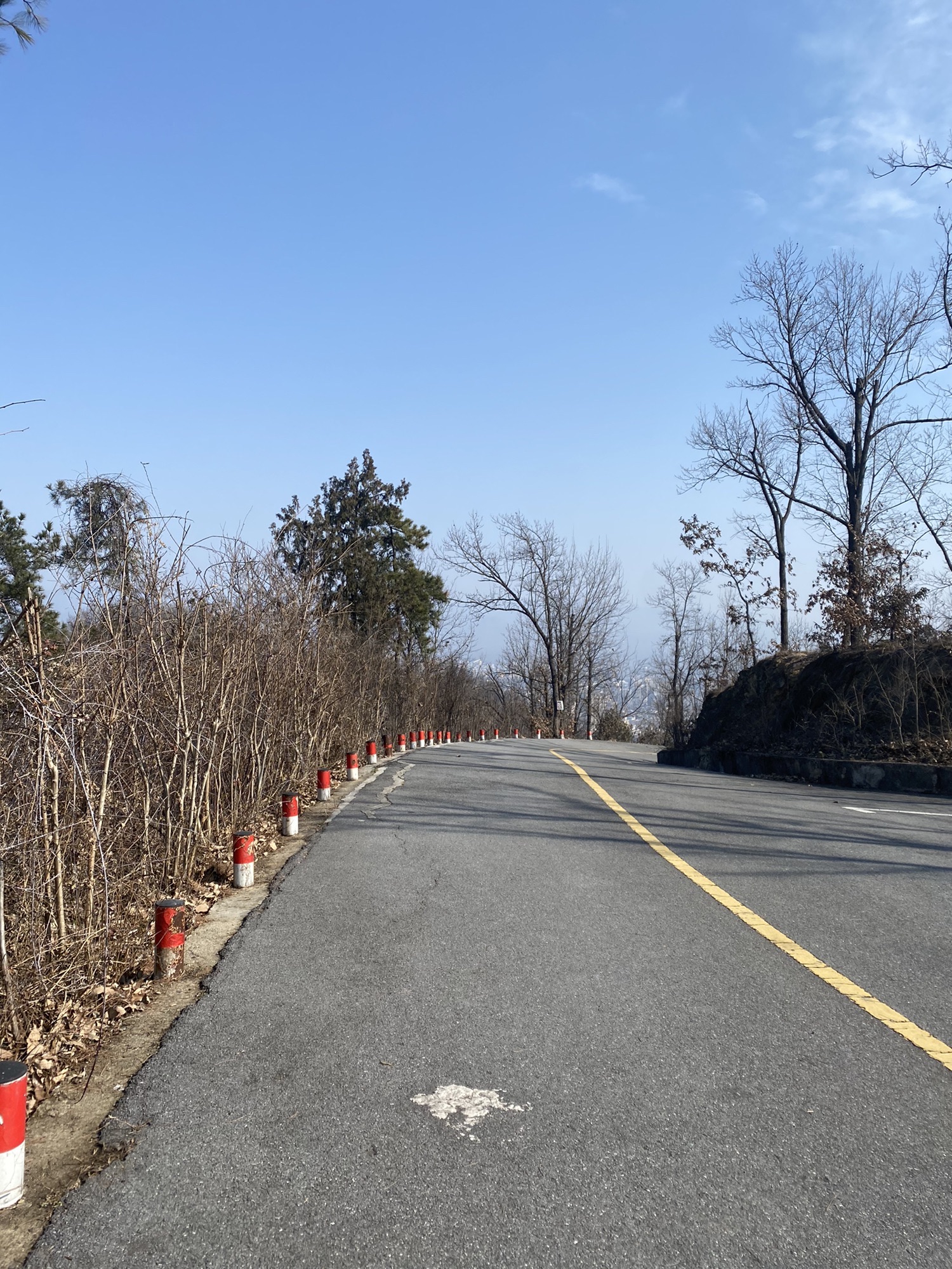 寺山公园旅行图片 3