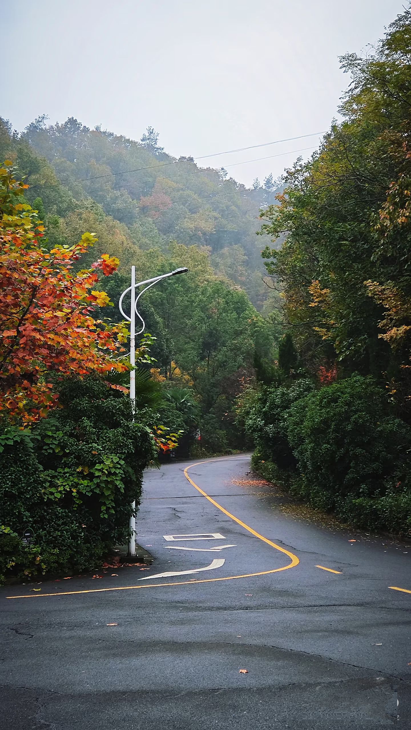 寺山公园旅行图片 2