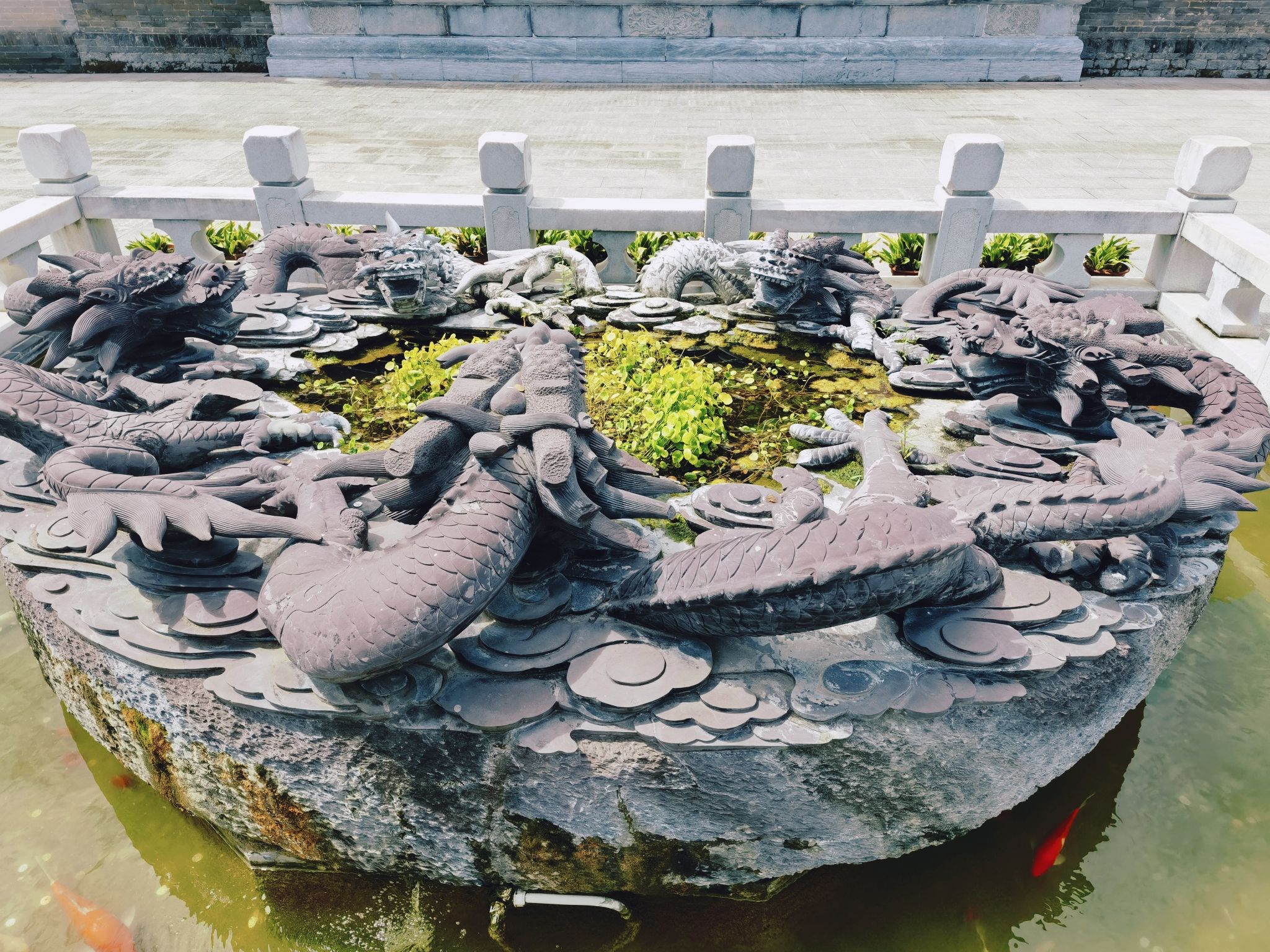 花洲书院旅行图片 1