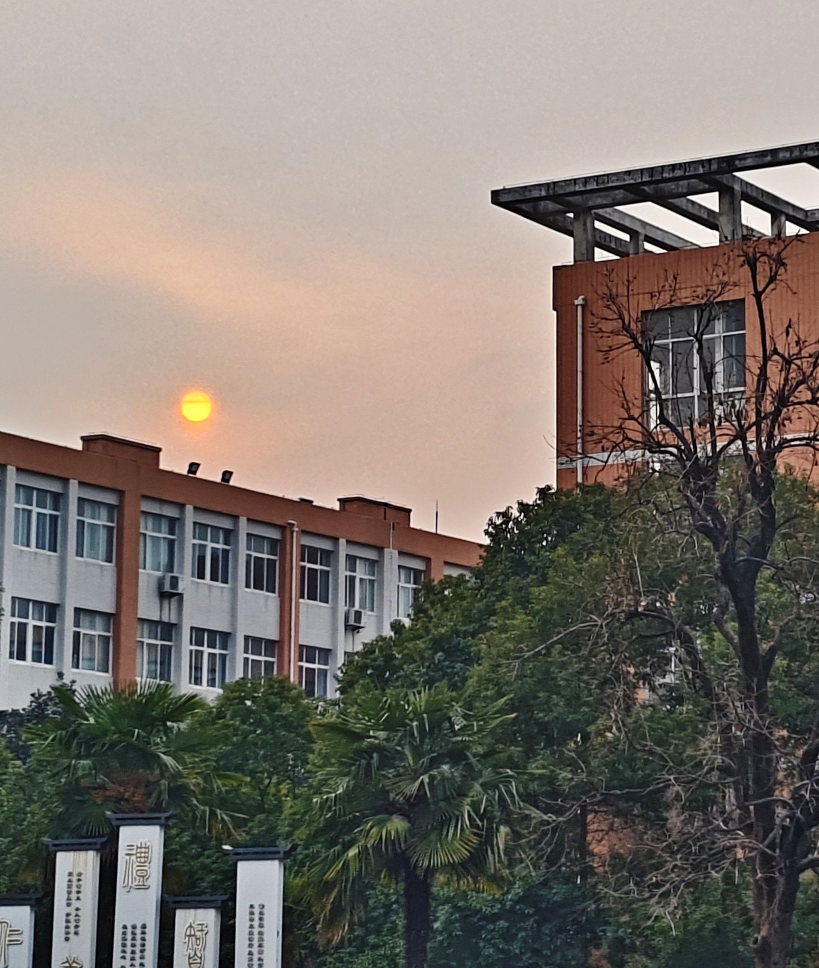 南阳医学高等专科学校仲景西区