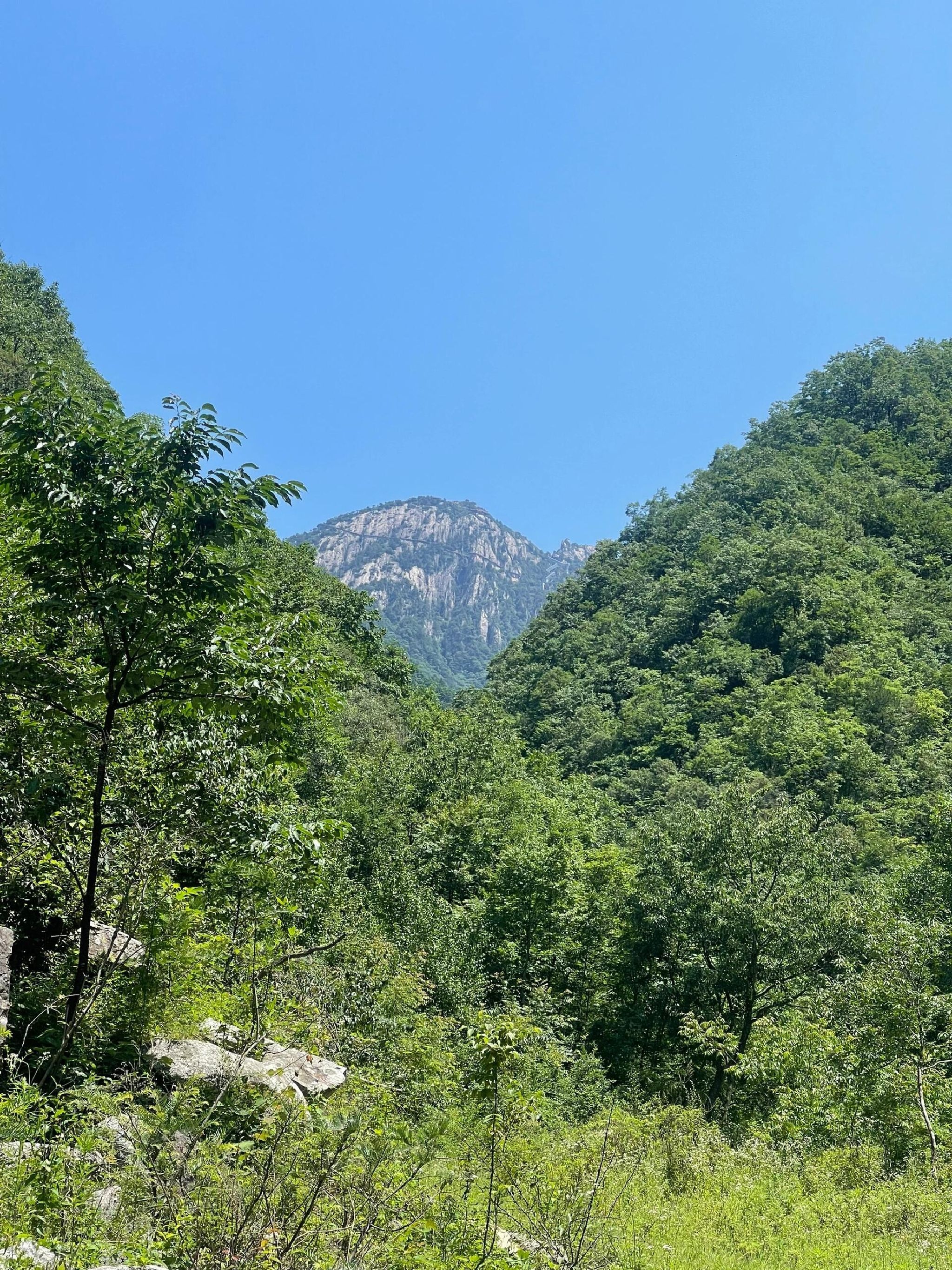 黄石庵老君山旅行图片 1