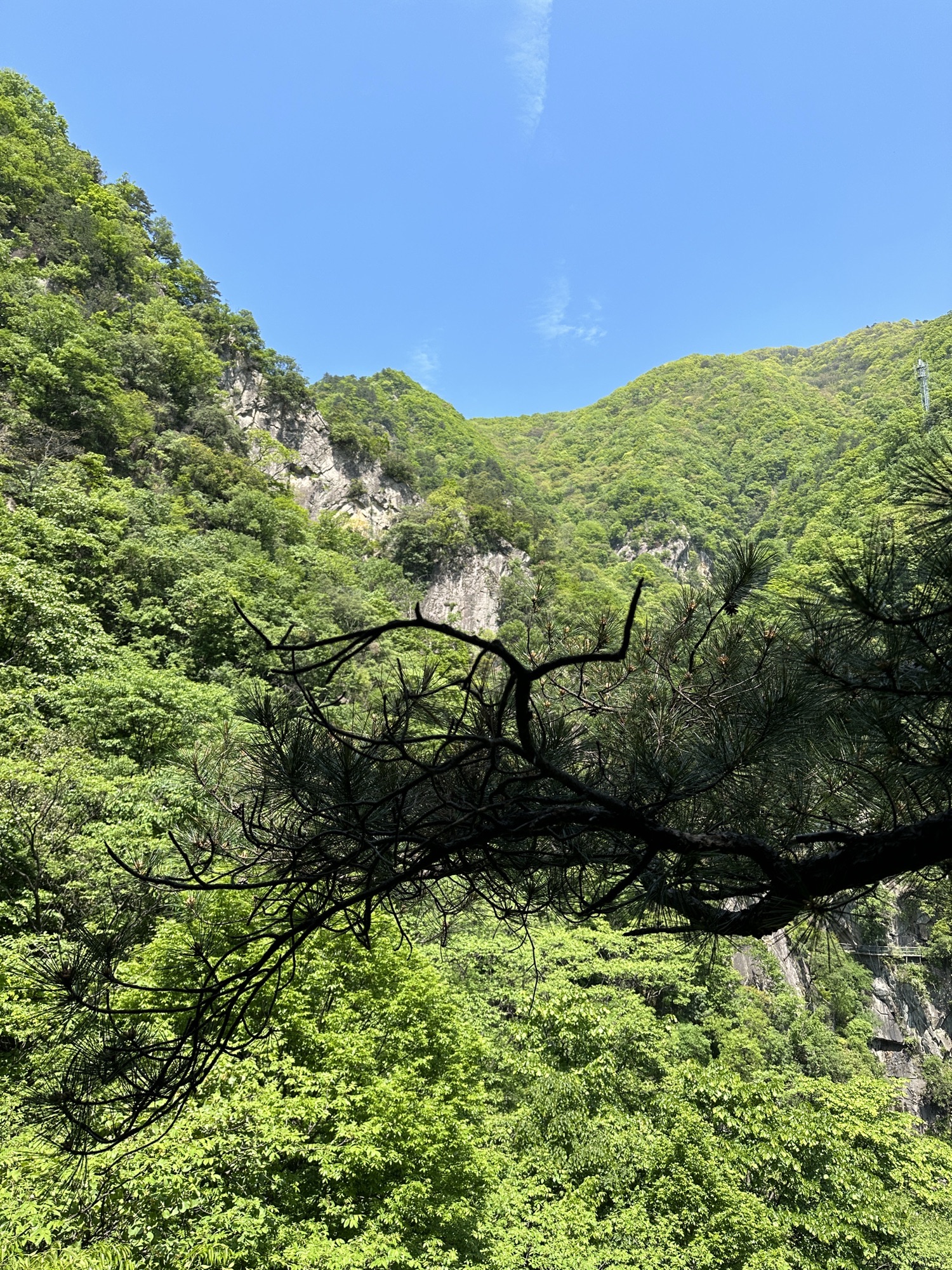 老君洞旅游度假区旅行图片 3