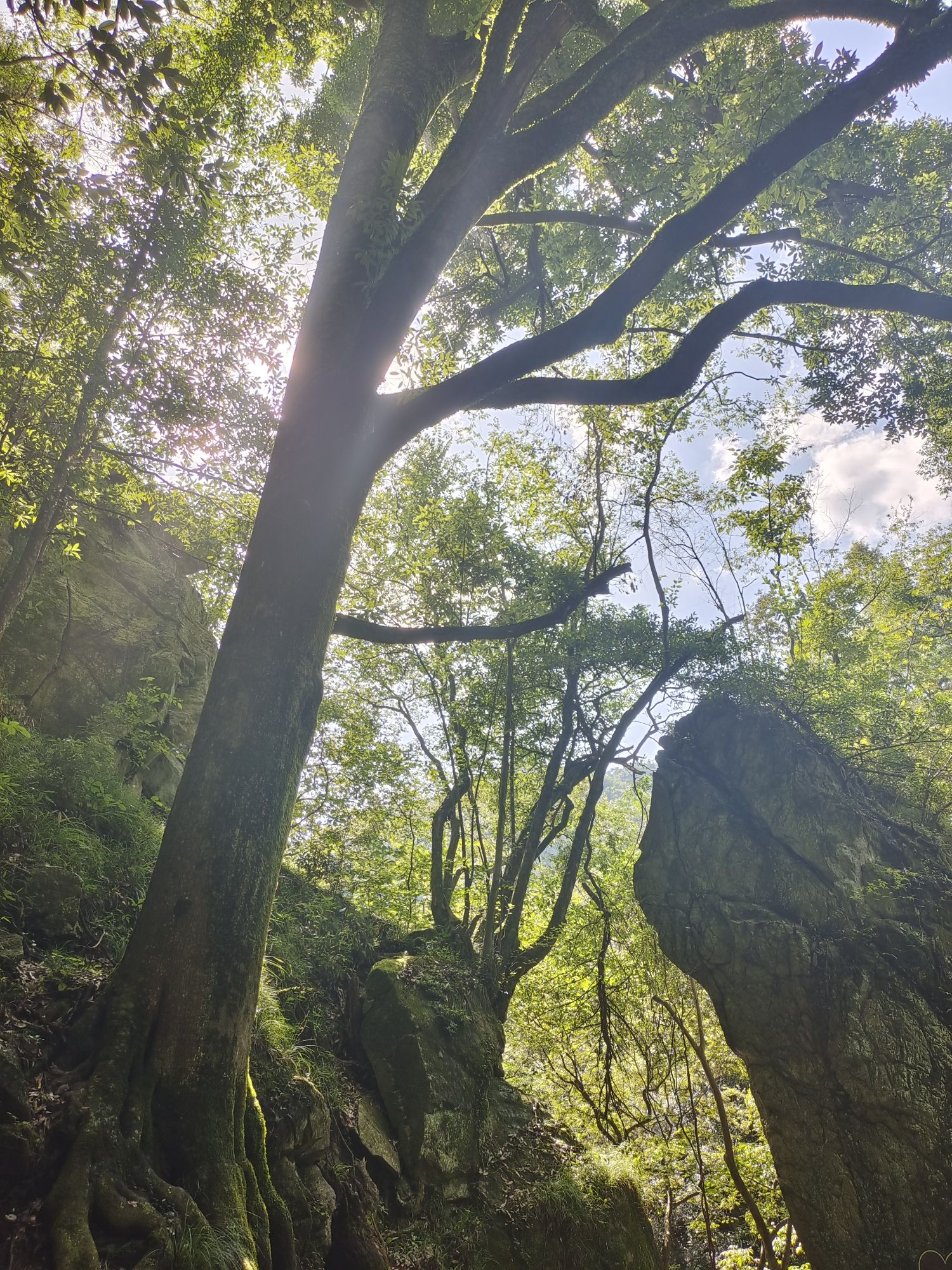 老君洞旅游度假区旅行图片 3