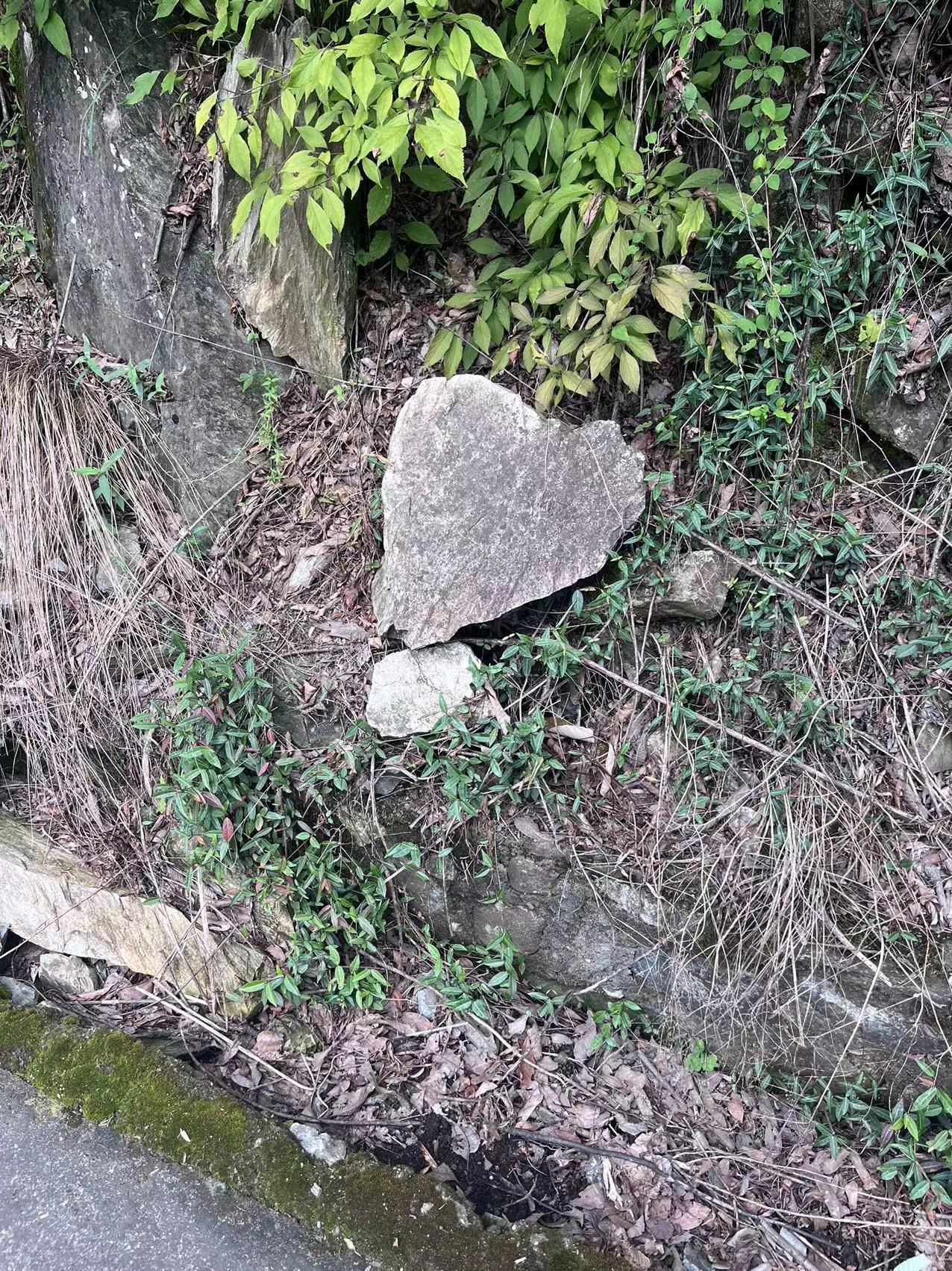 老君洞旅游度假区旅行图片 2