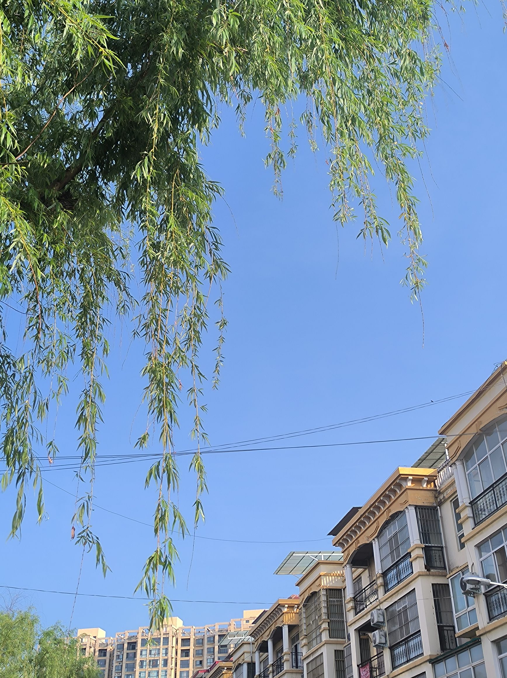 滨河公园旅行图片 3