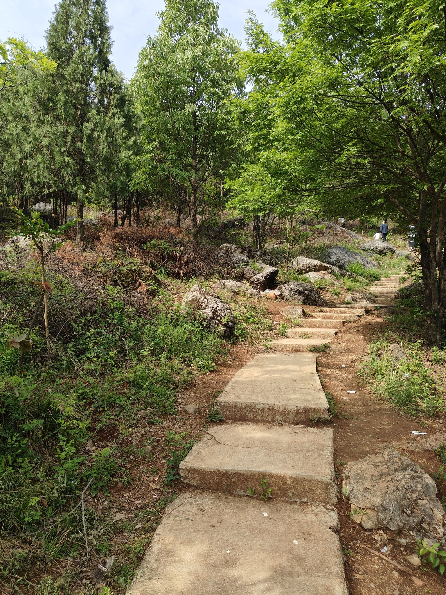 方山公园旅行图片 3