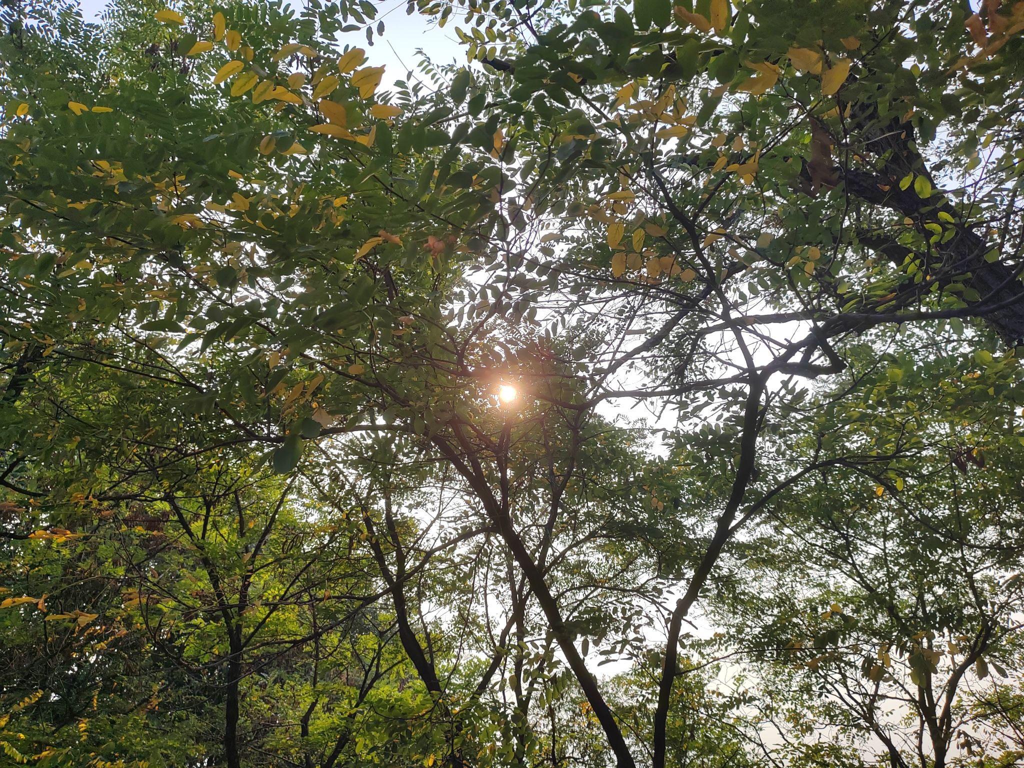 方山公园旅行图片 2