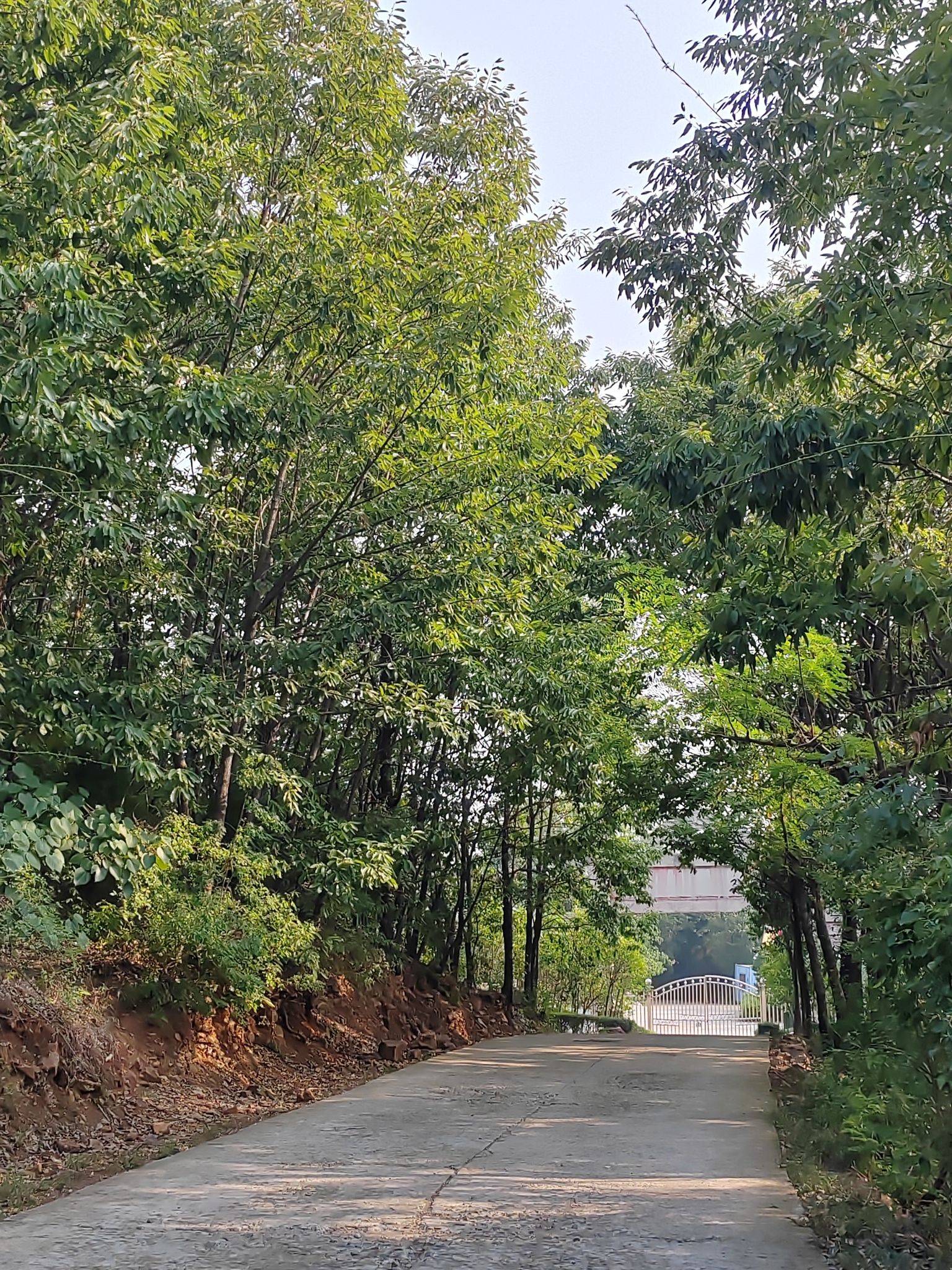 方山公园旅行图片 1