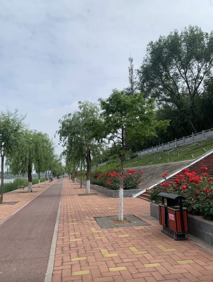 伏牛山地质公园广场旅行图片 2