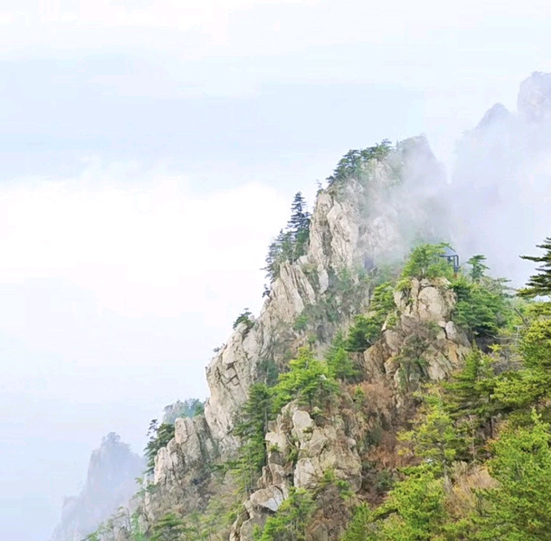 伏牛山地质公园广场旅行图片 3