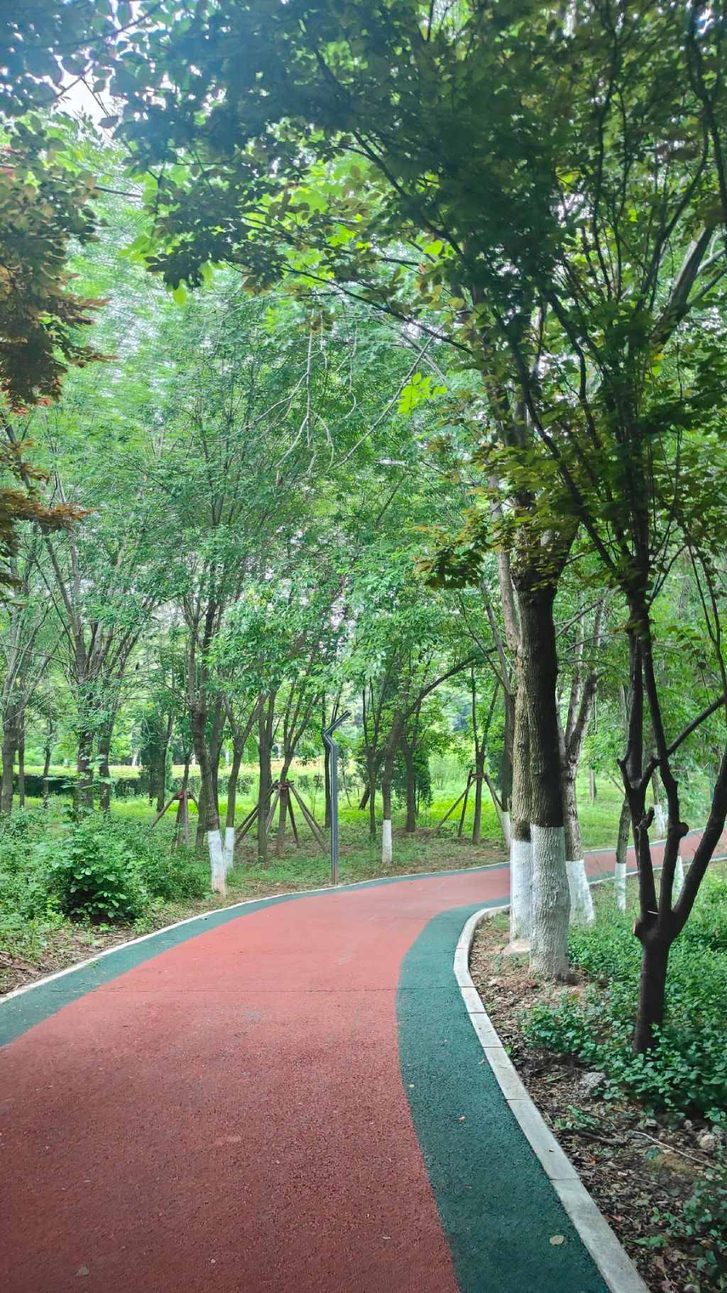 凤山地质公园旅行图片 1