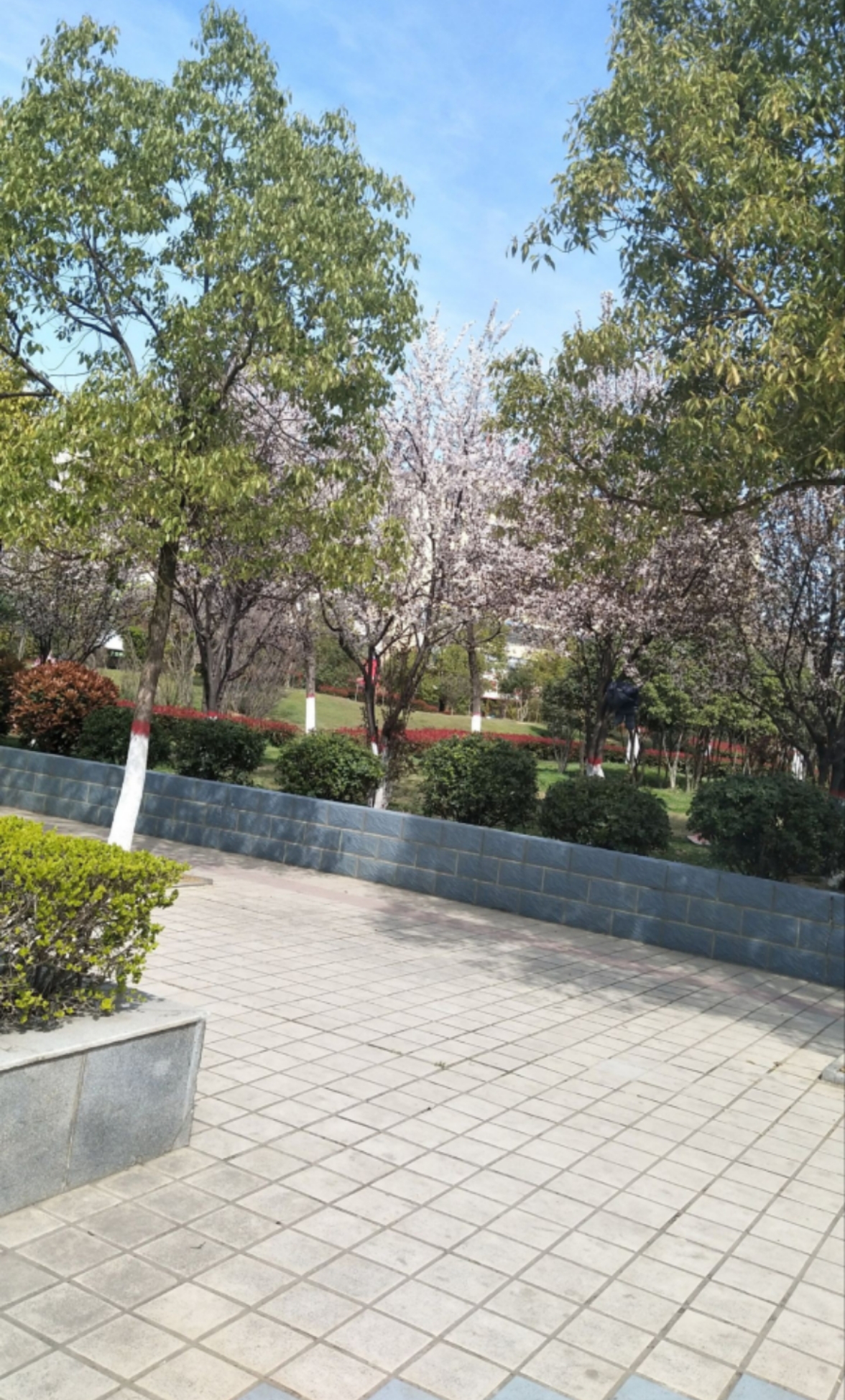 文峰广场旅行图片 3