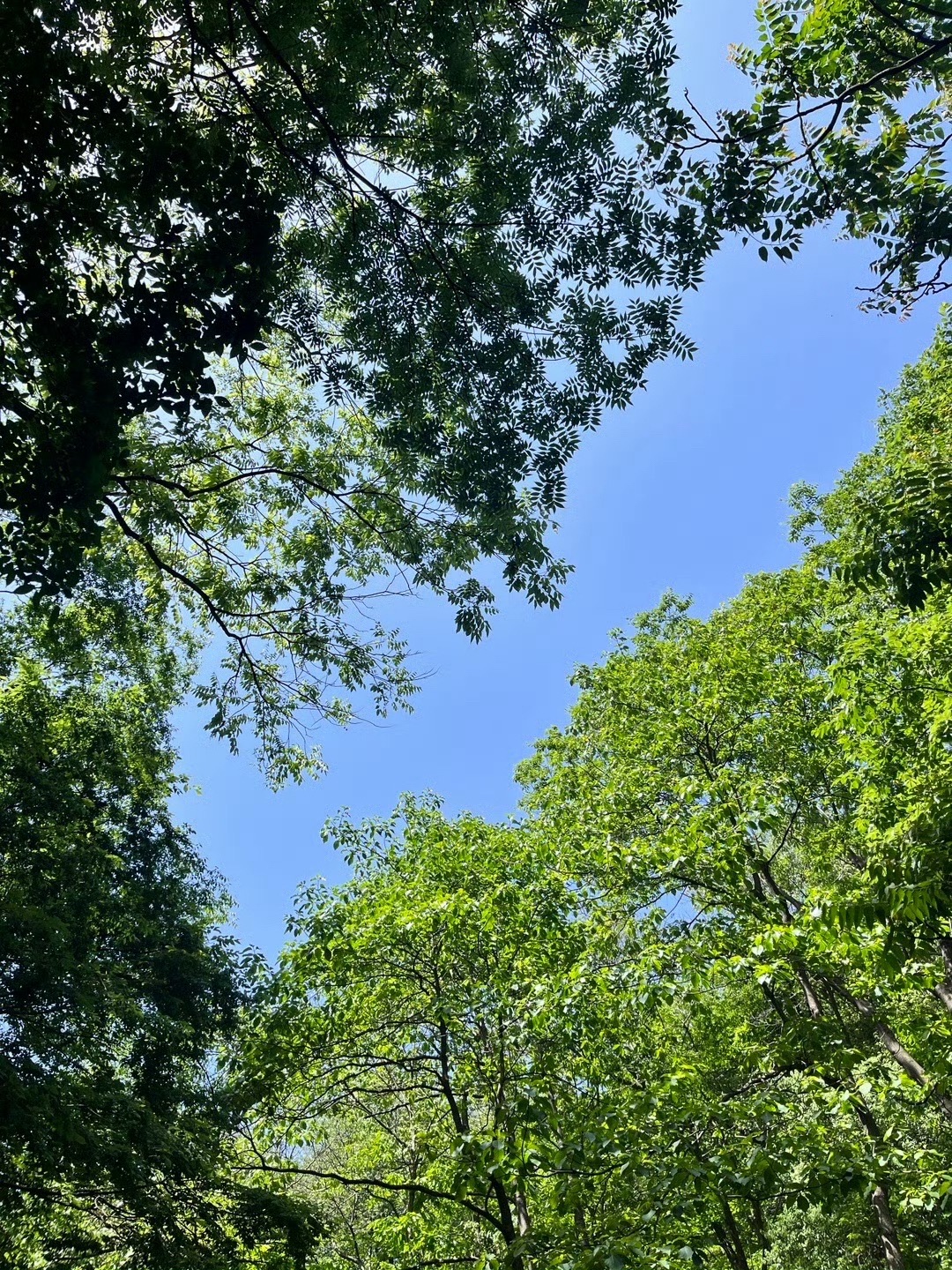 桐柏山淮源风景名胜区旅行图片 1
