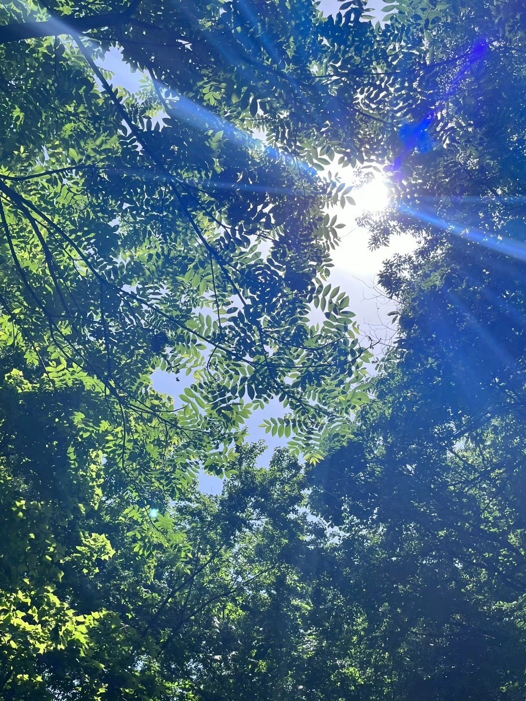 桐柏山淮源风景名胜区旅行图片 2