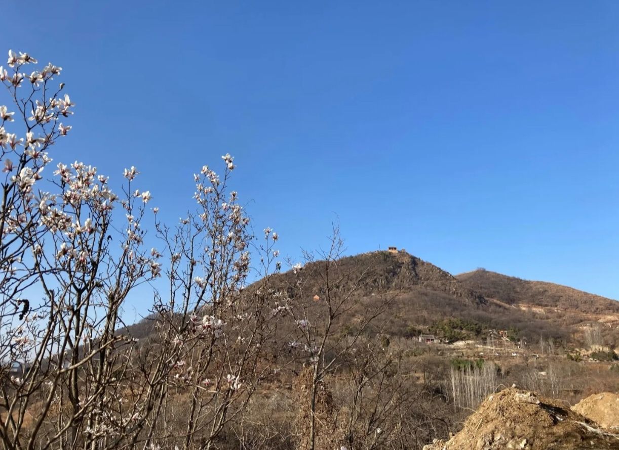 鹿鸣山风景区旅行图片 2