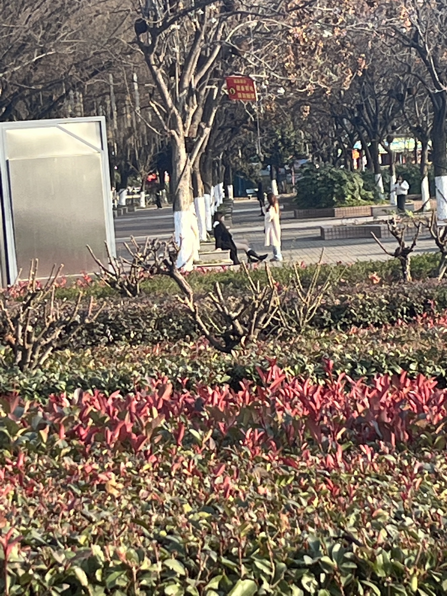 时代广场旅行图片 1