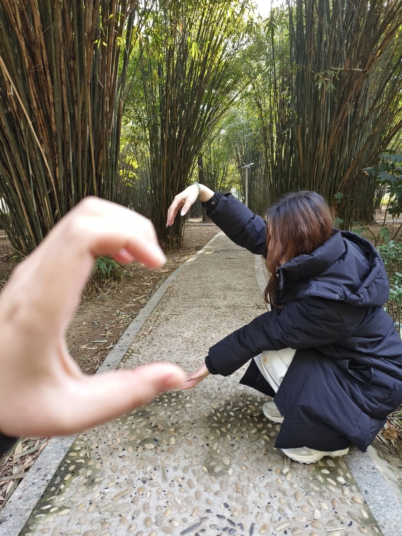 邓州市人民公园旅行图片 2