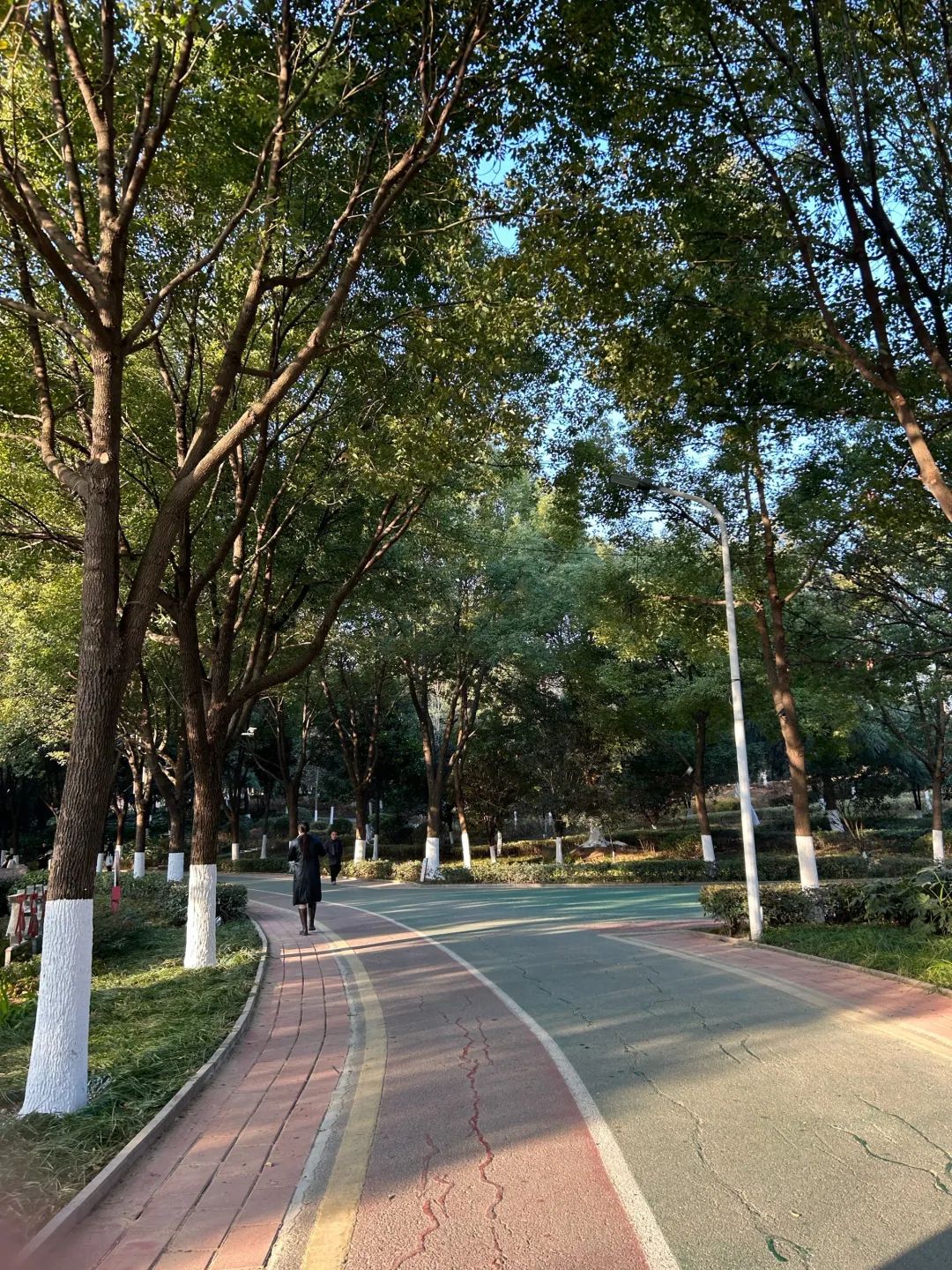 邓州市人民公园旅行图片 2
