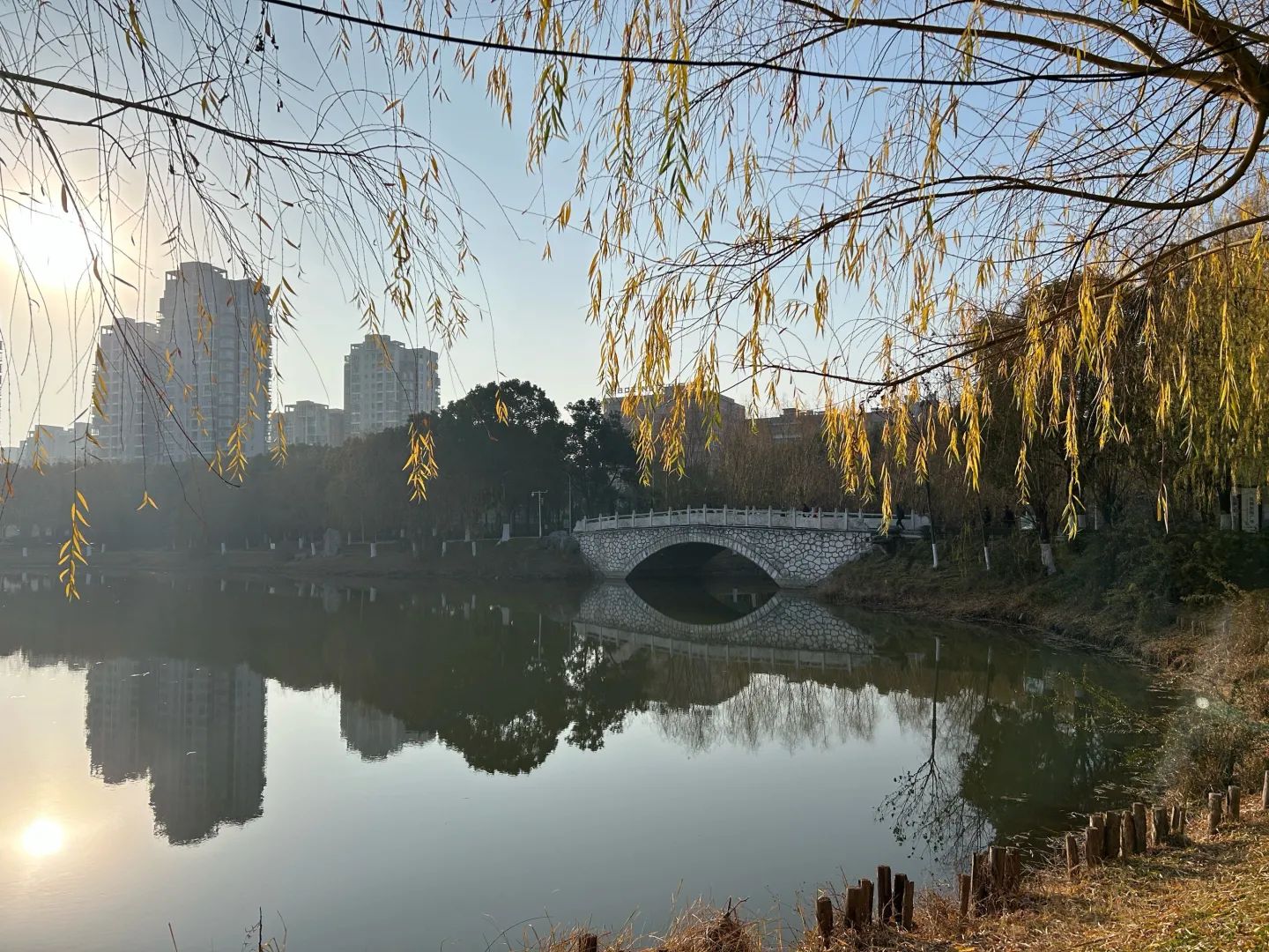 邓州市人民公园旅行图片 1