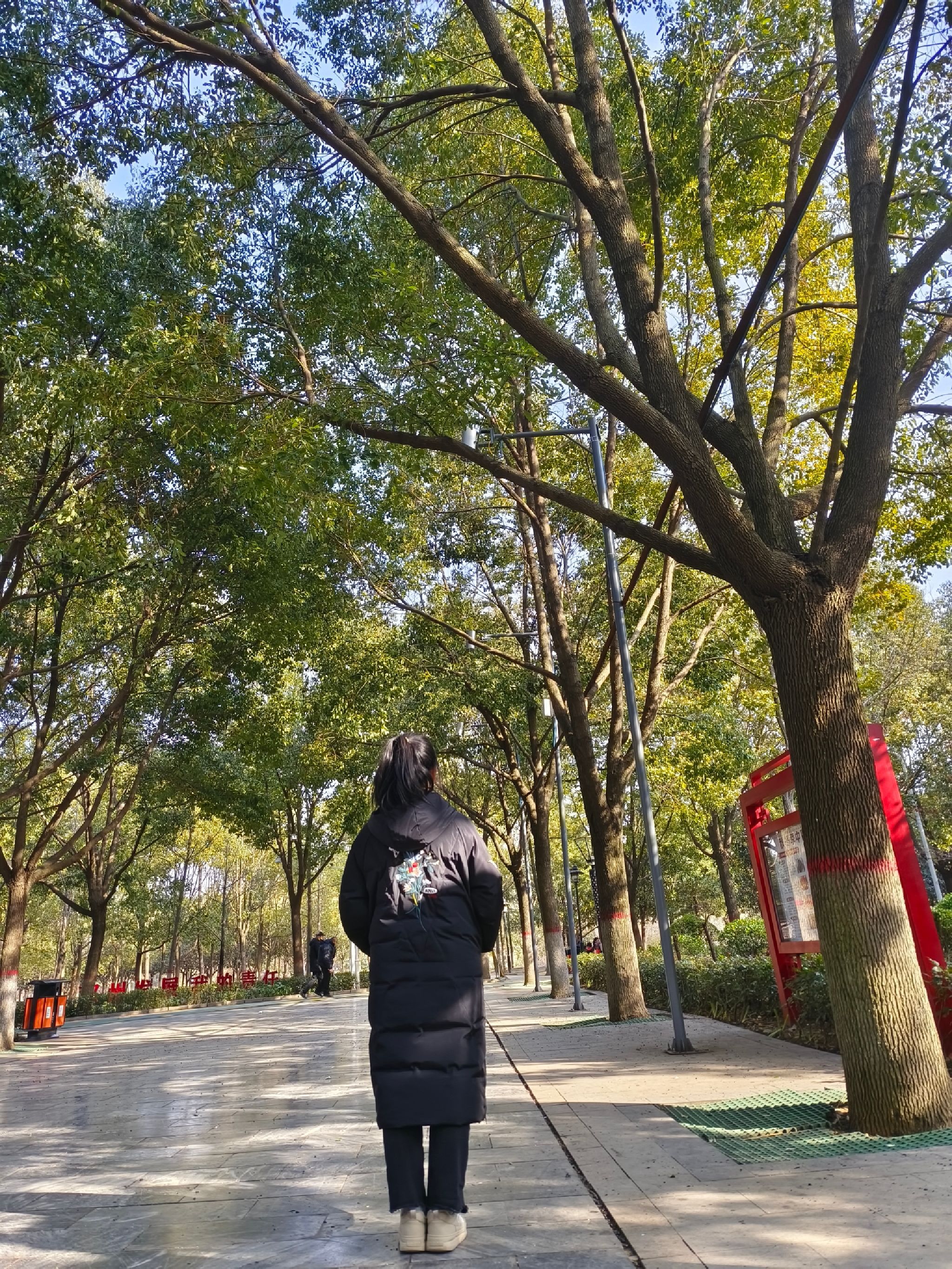 邓州市人民公园旅行图片 1