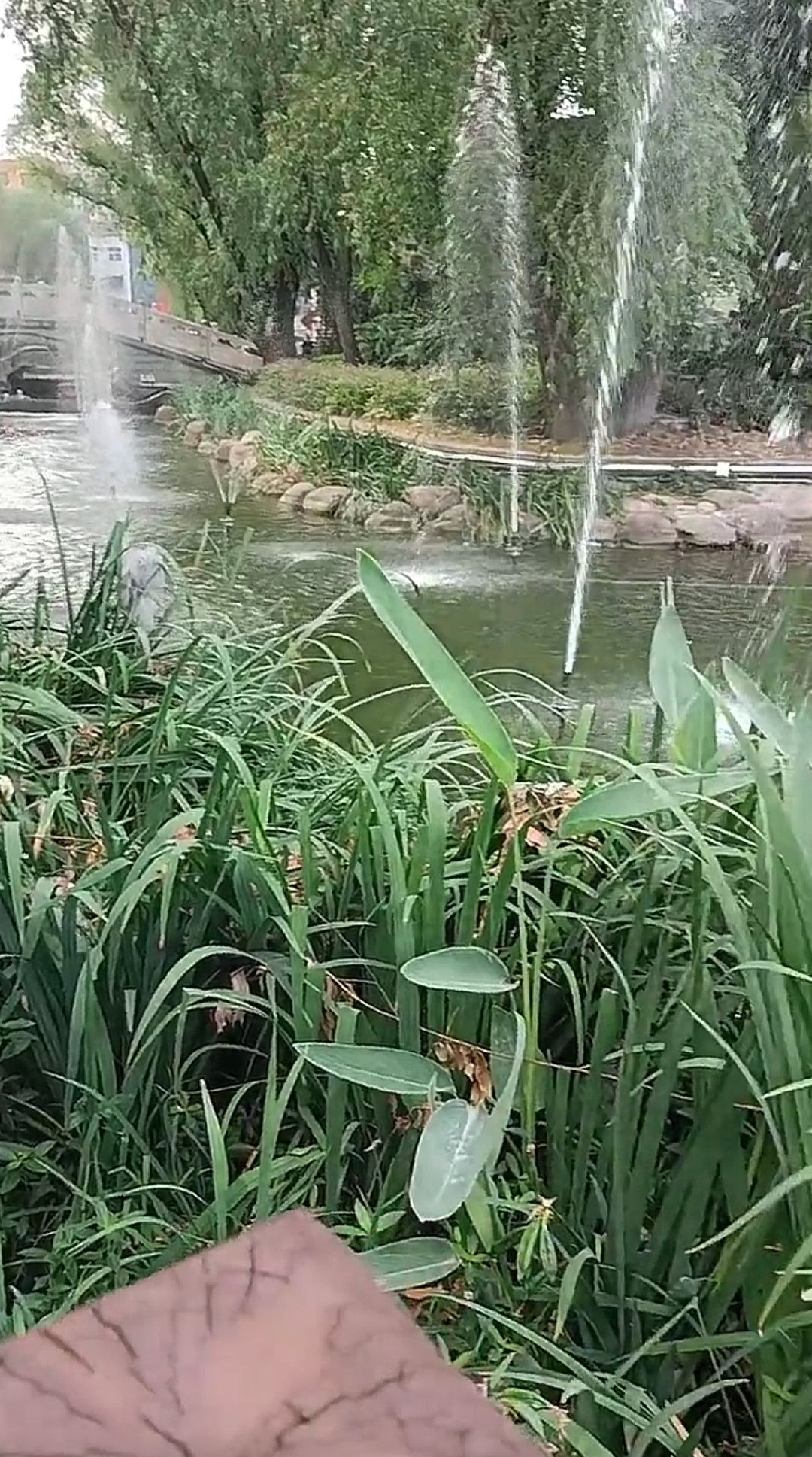 玉鼎广场旅行图片 2