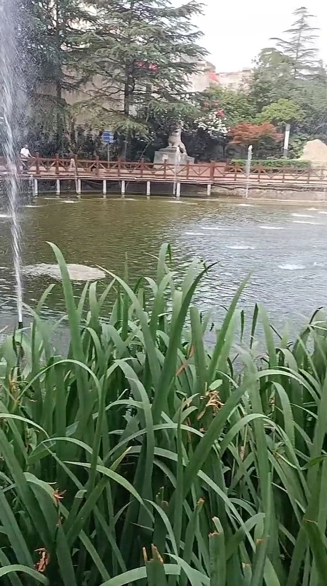 玉鼎广场旅行图片 3