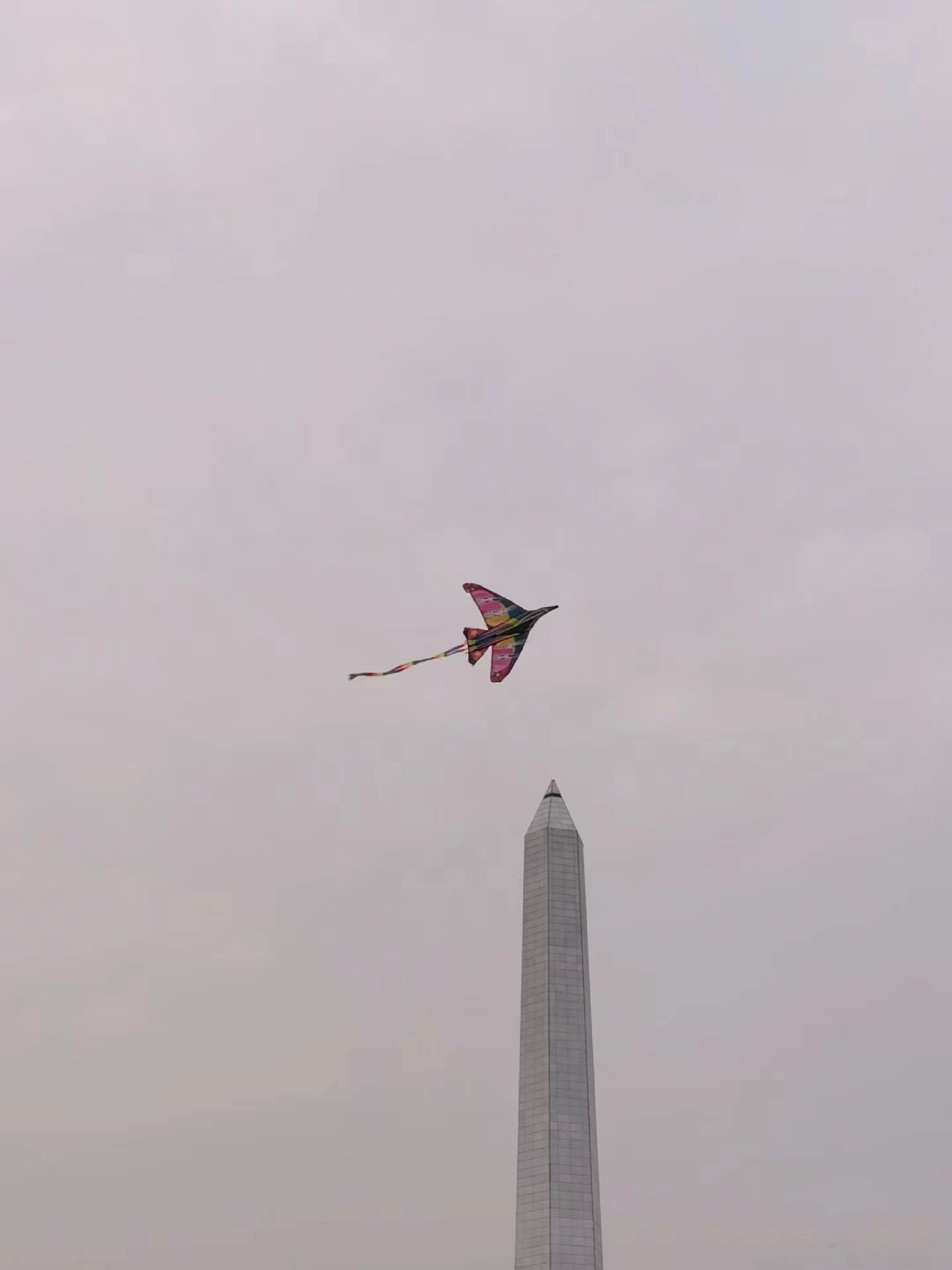 南阳市解放广场旅行图片 2