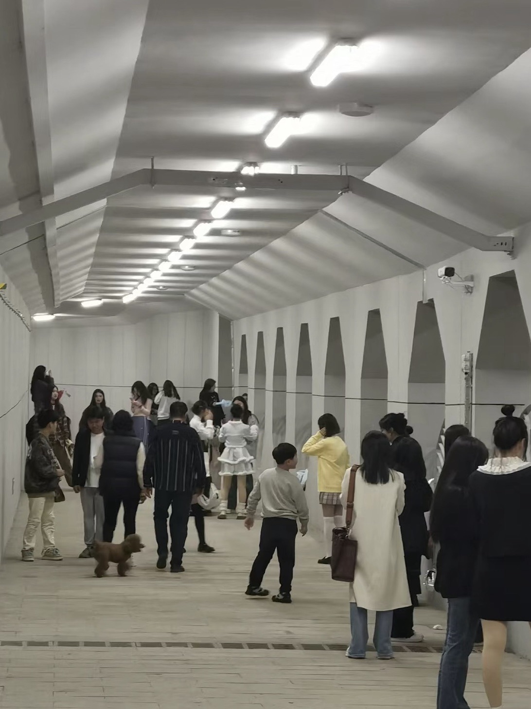 南阳市解放广场旅行图片 3